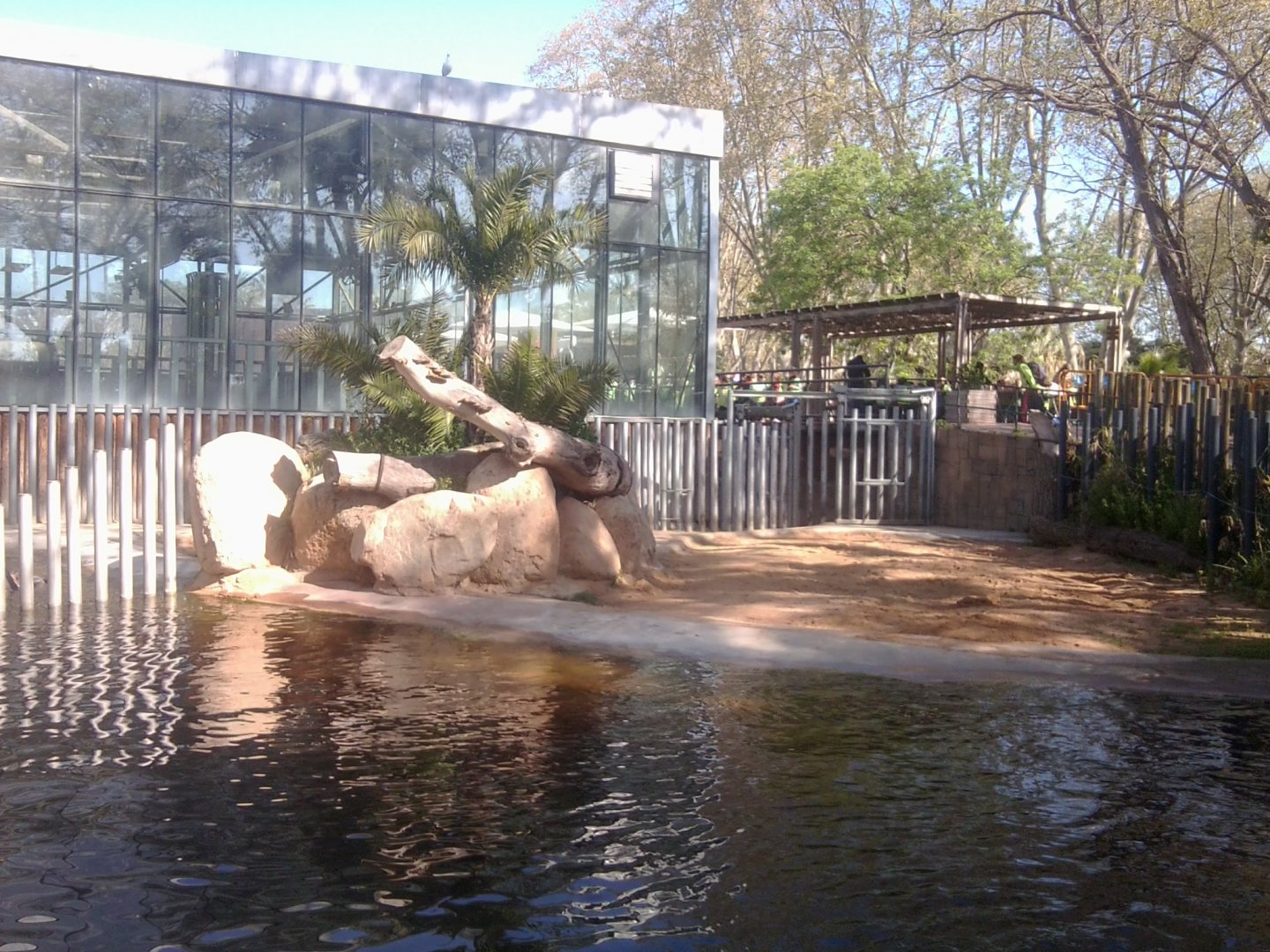 Common hippo exhibit (and building for elephants too)