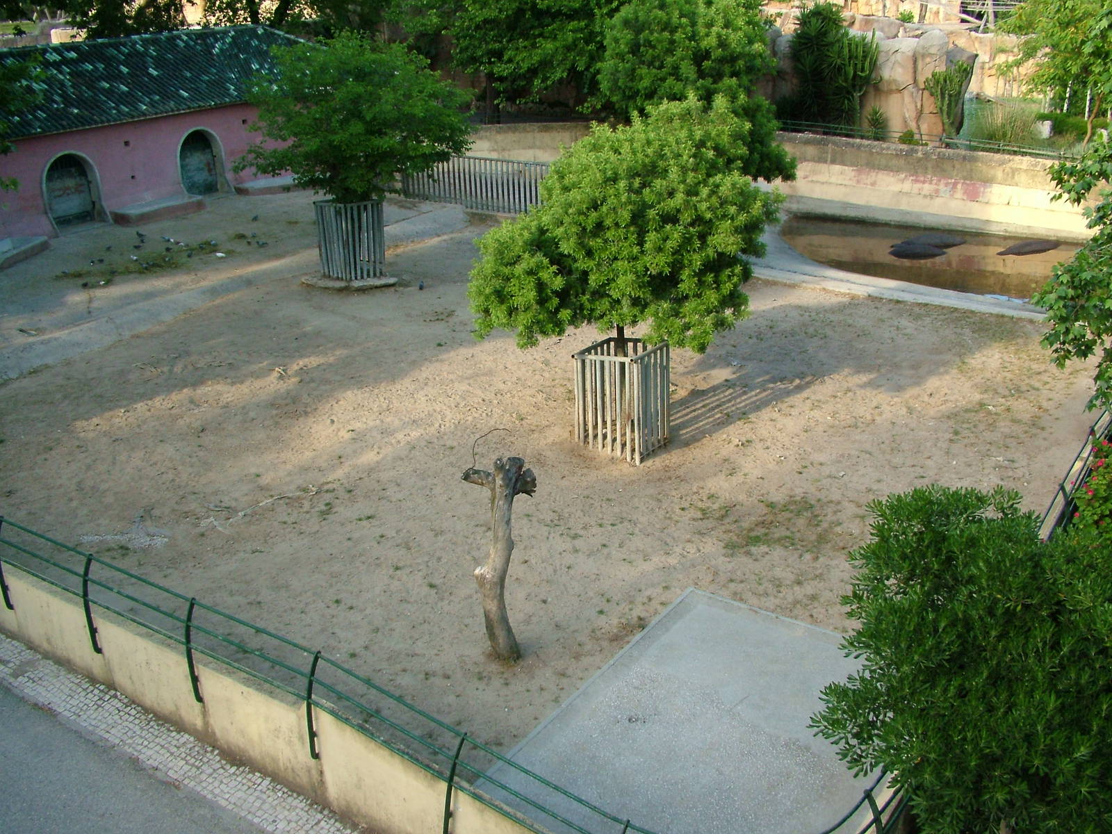 Common Hippo Exhibit at Lisbon Zoo, 24/05/11