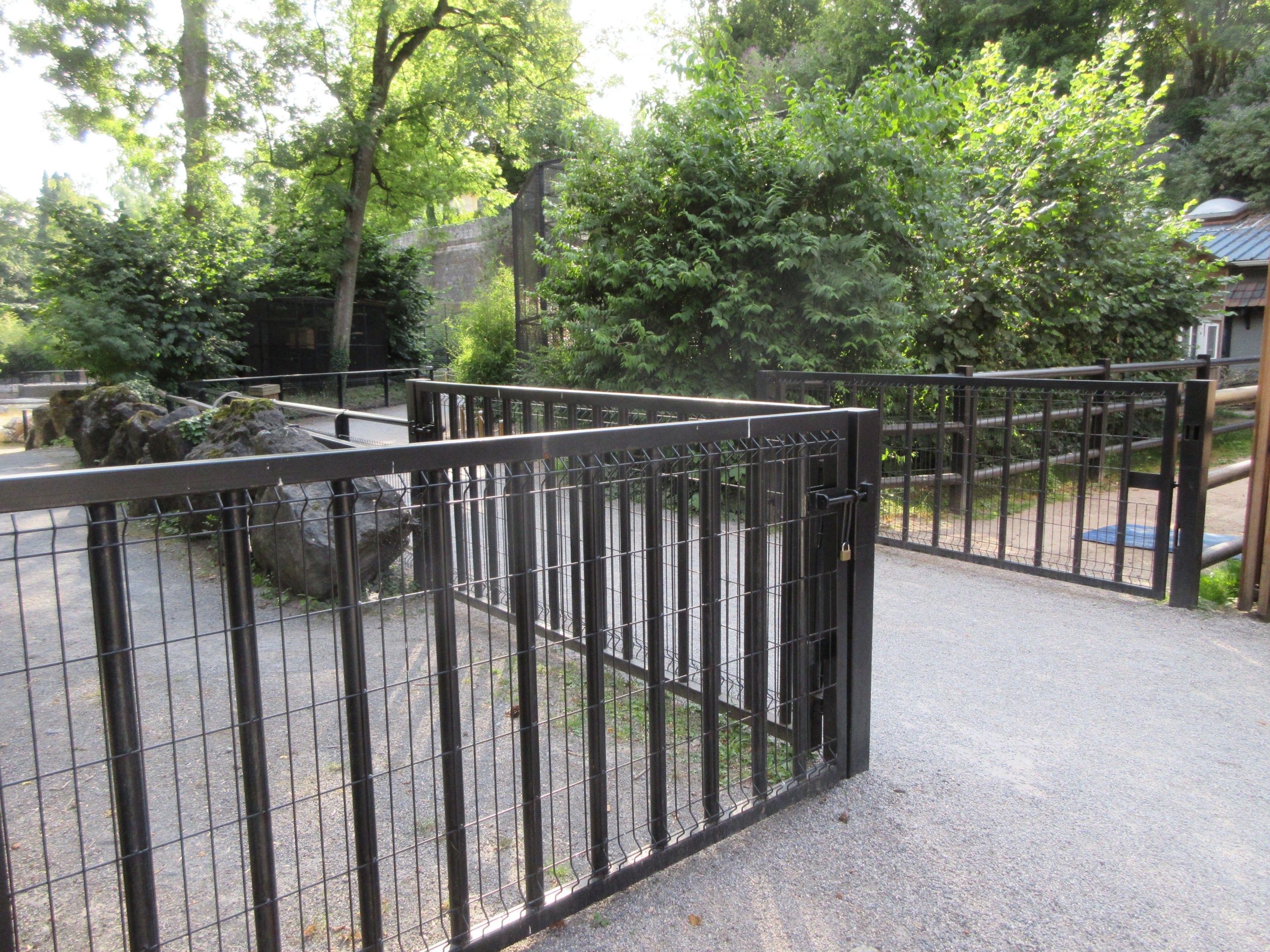 Common Hippo Exhibit (gates to house)