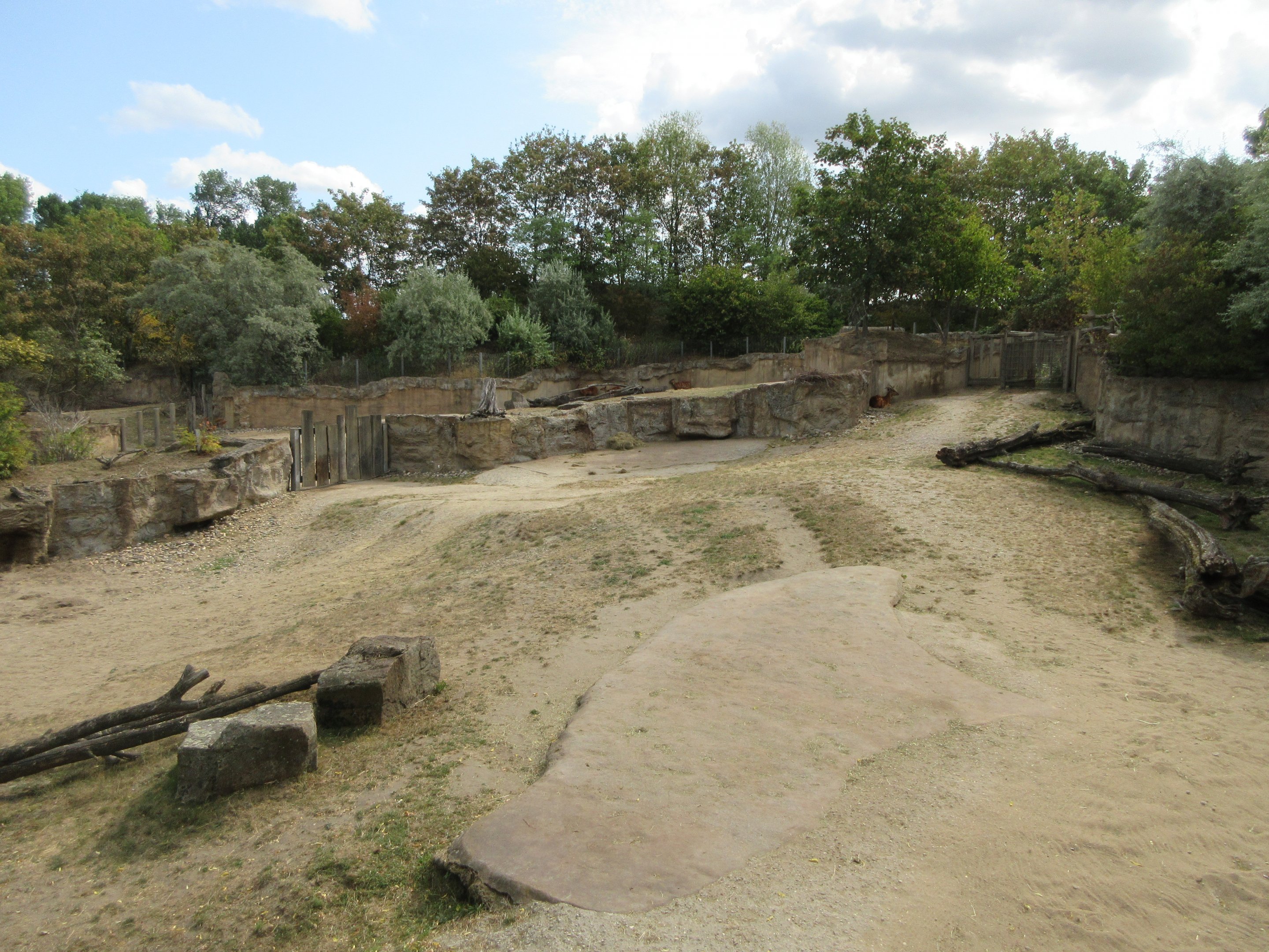 Common Hippo Exhibit - huge land area