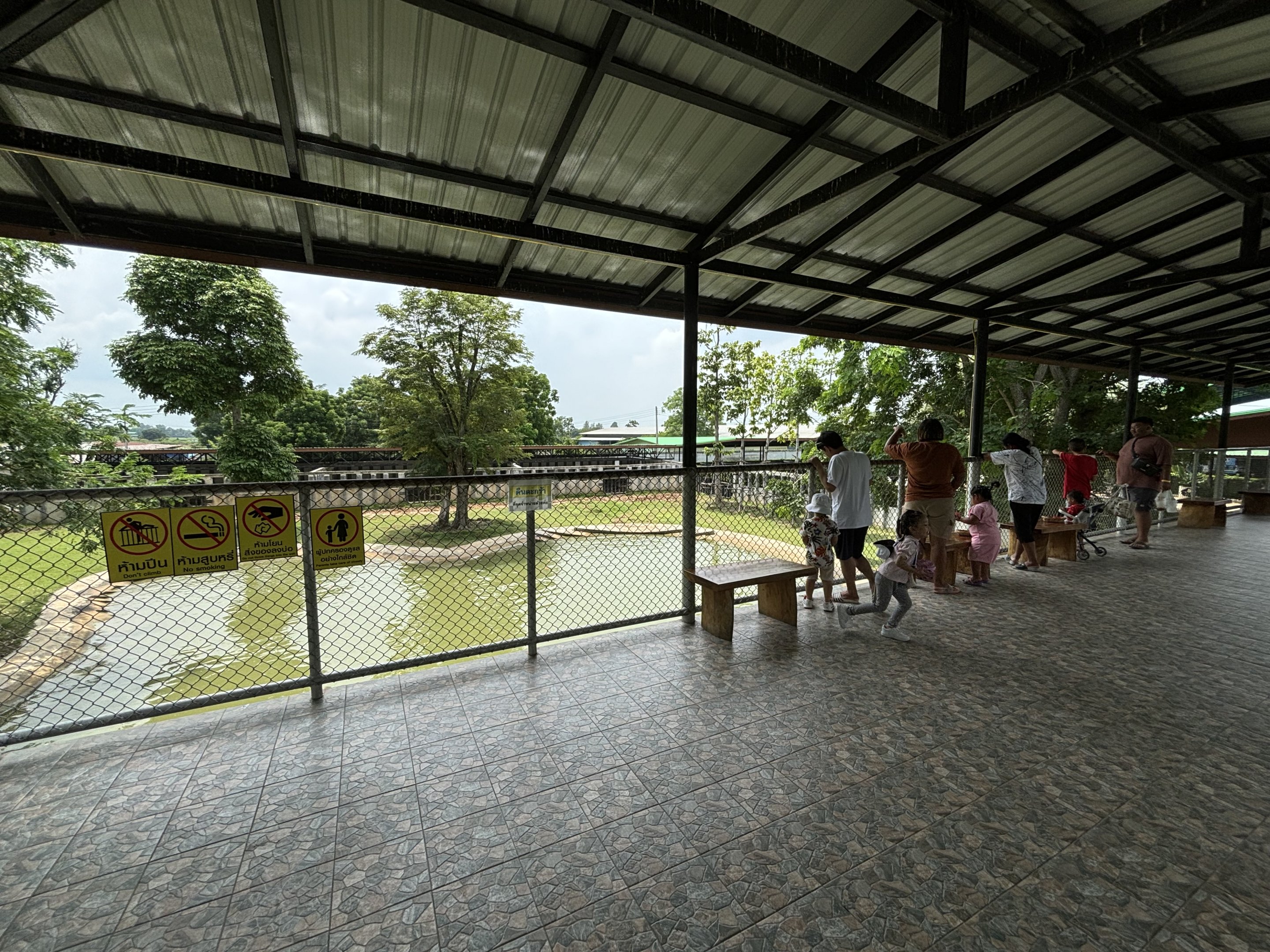Common Hippo Exhibit - Lion Park