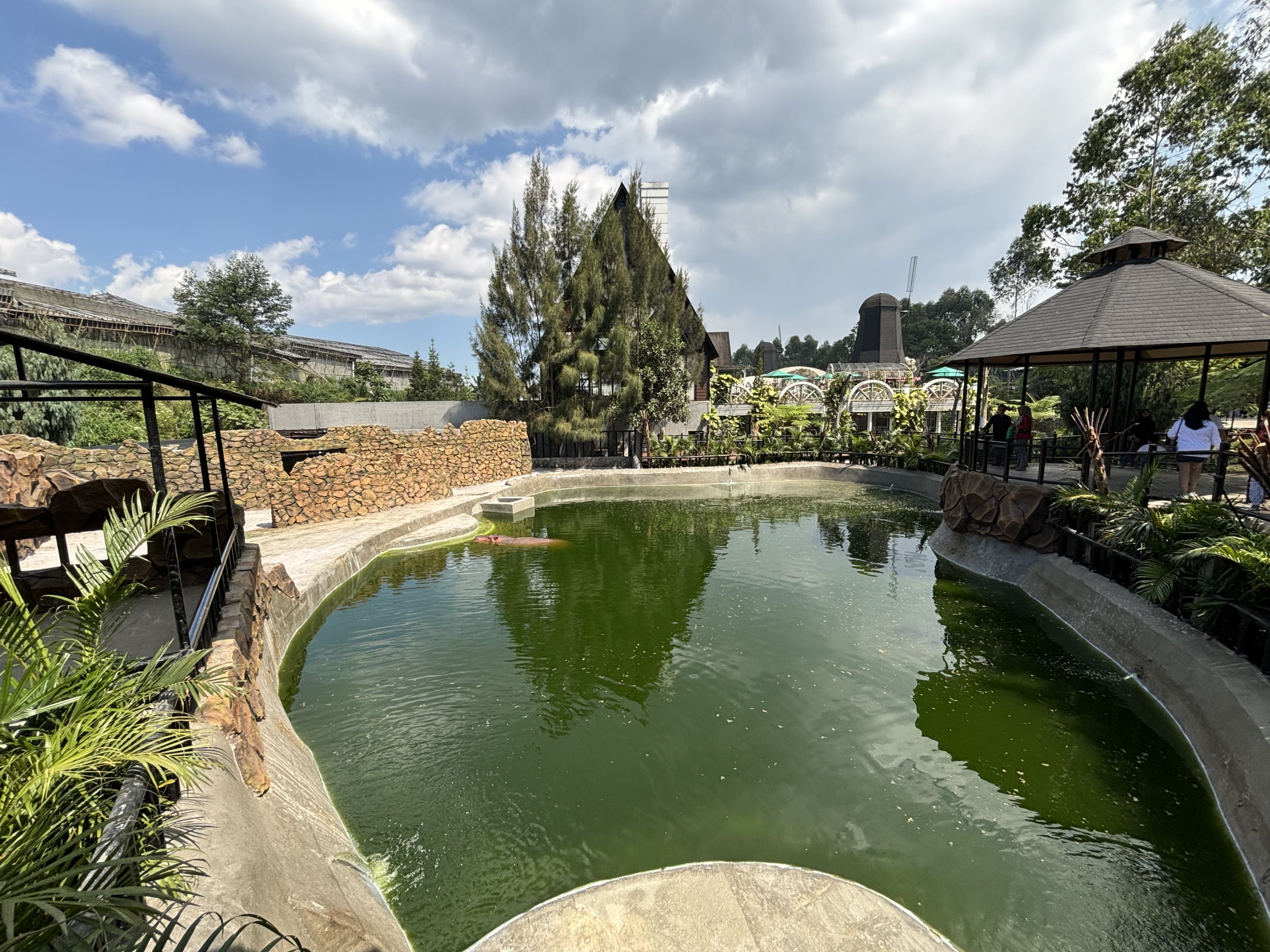 Common Hippo Exhibit - New in 2024