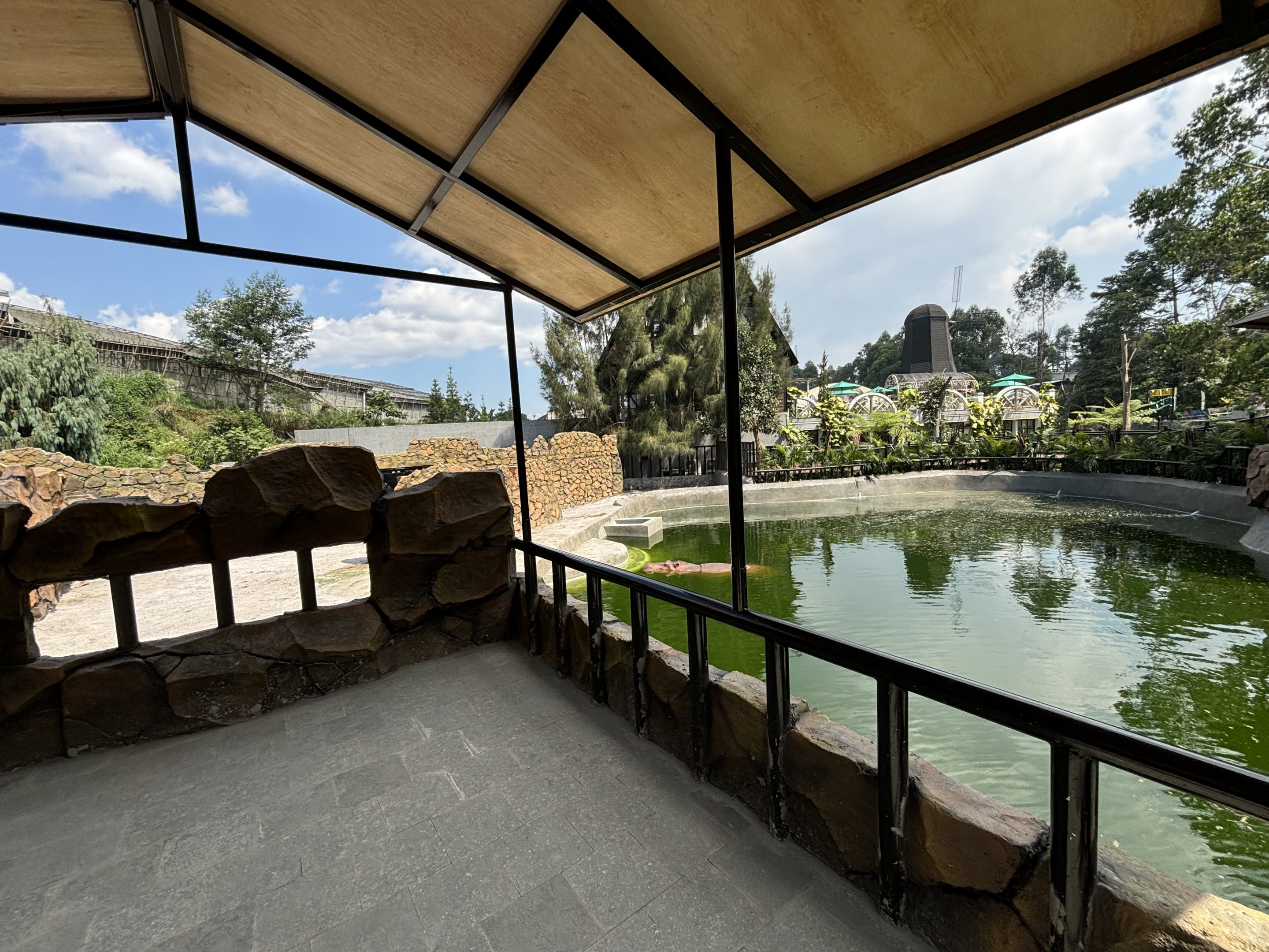 Common Hippo Exhibit - New in 2024