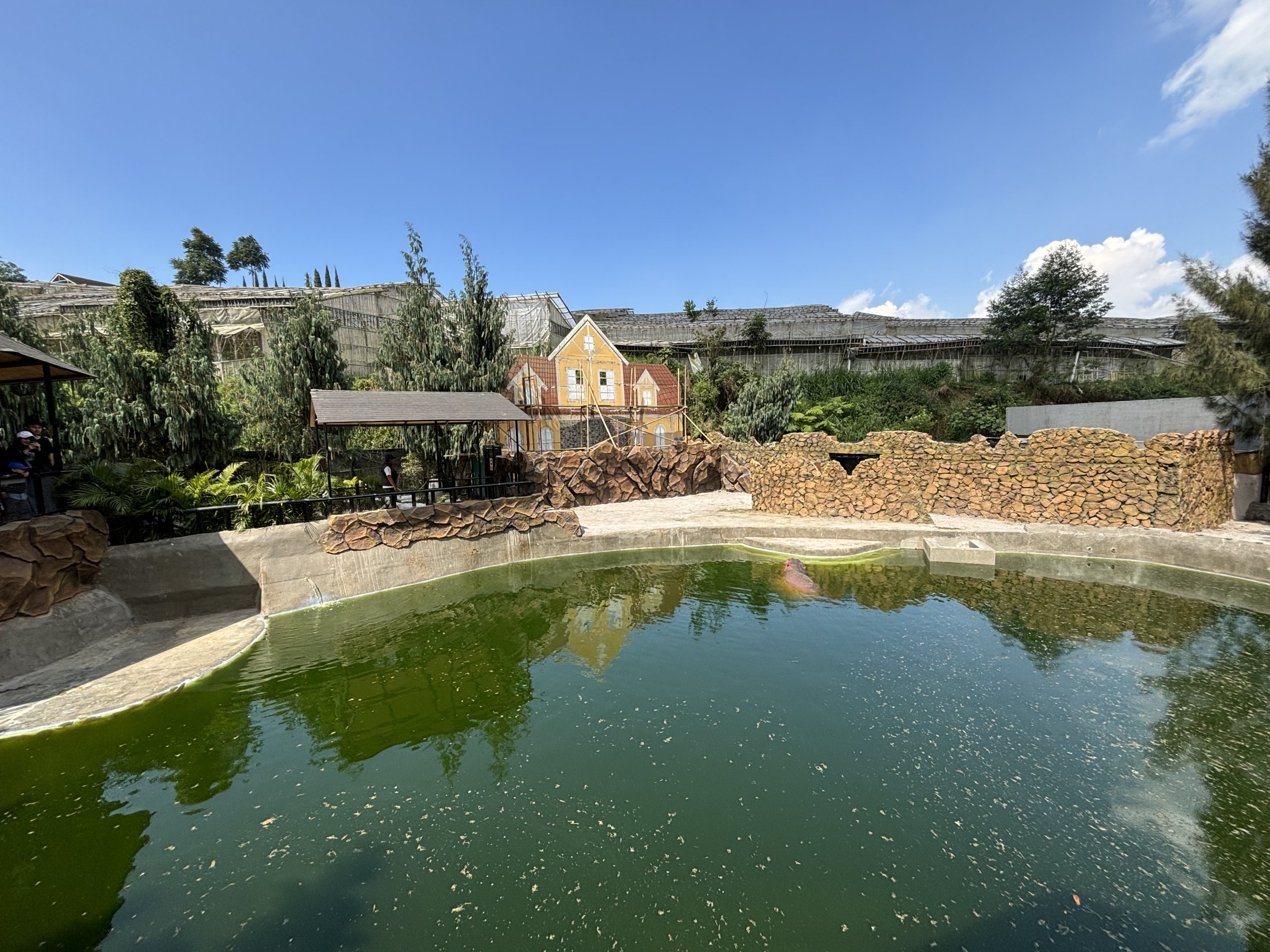 Common Hippo Exhibit - New in 2024