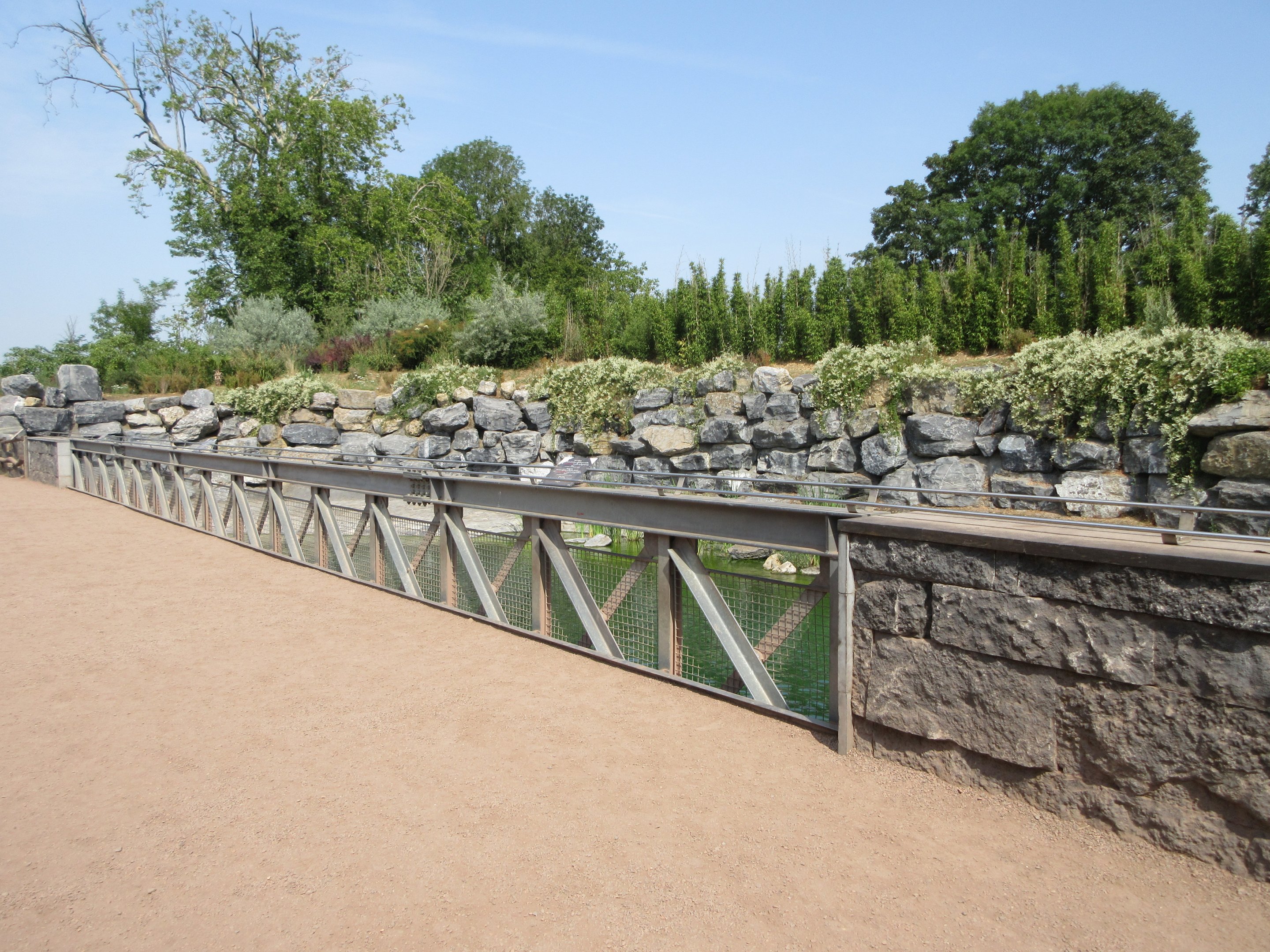 Common Hippo Exhibit - overhead viewing area