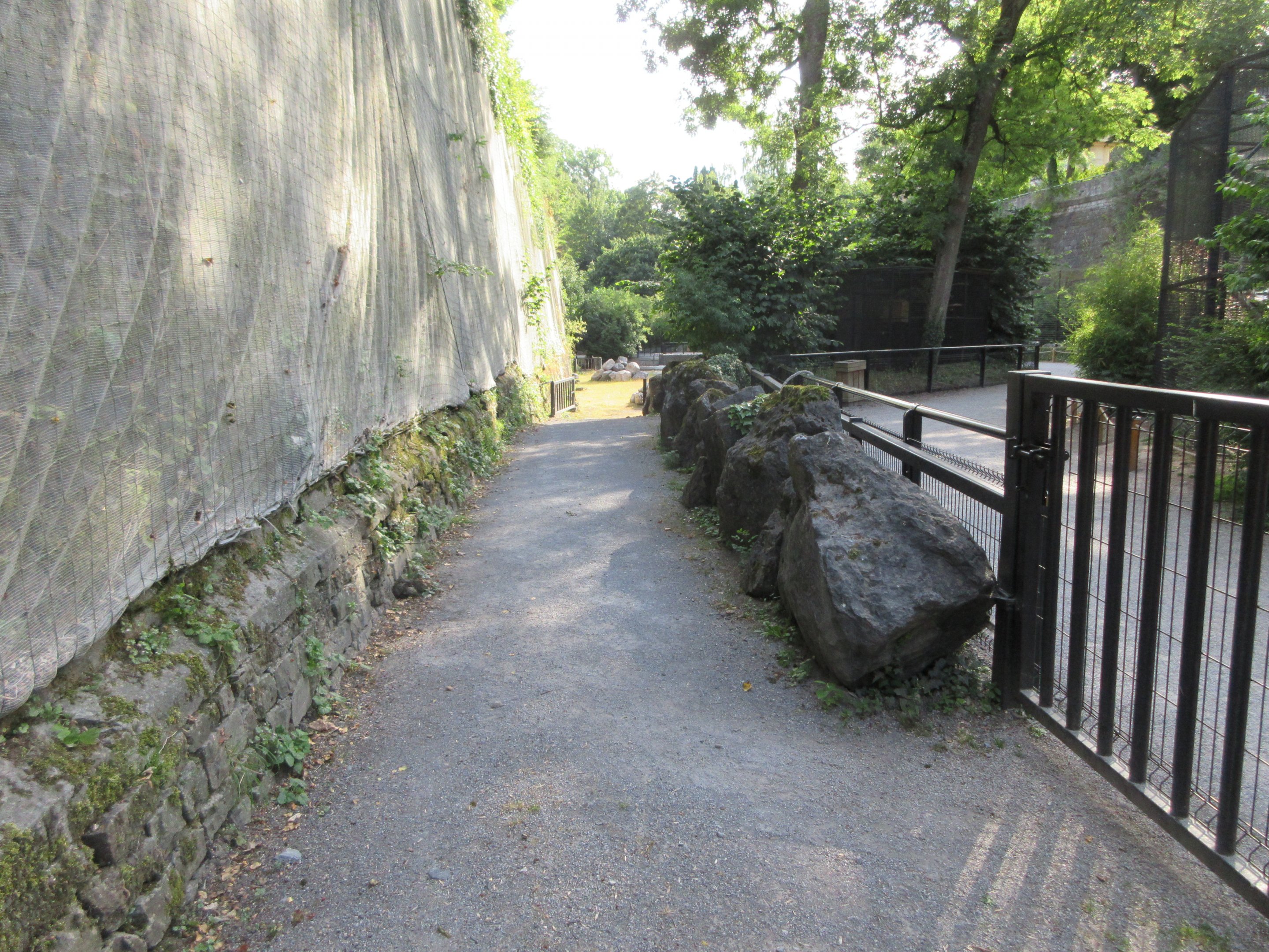 Common Hippo Exhibit (path at end of enclosure)
