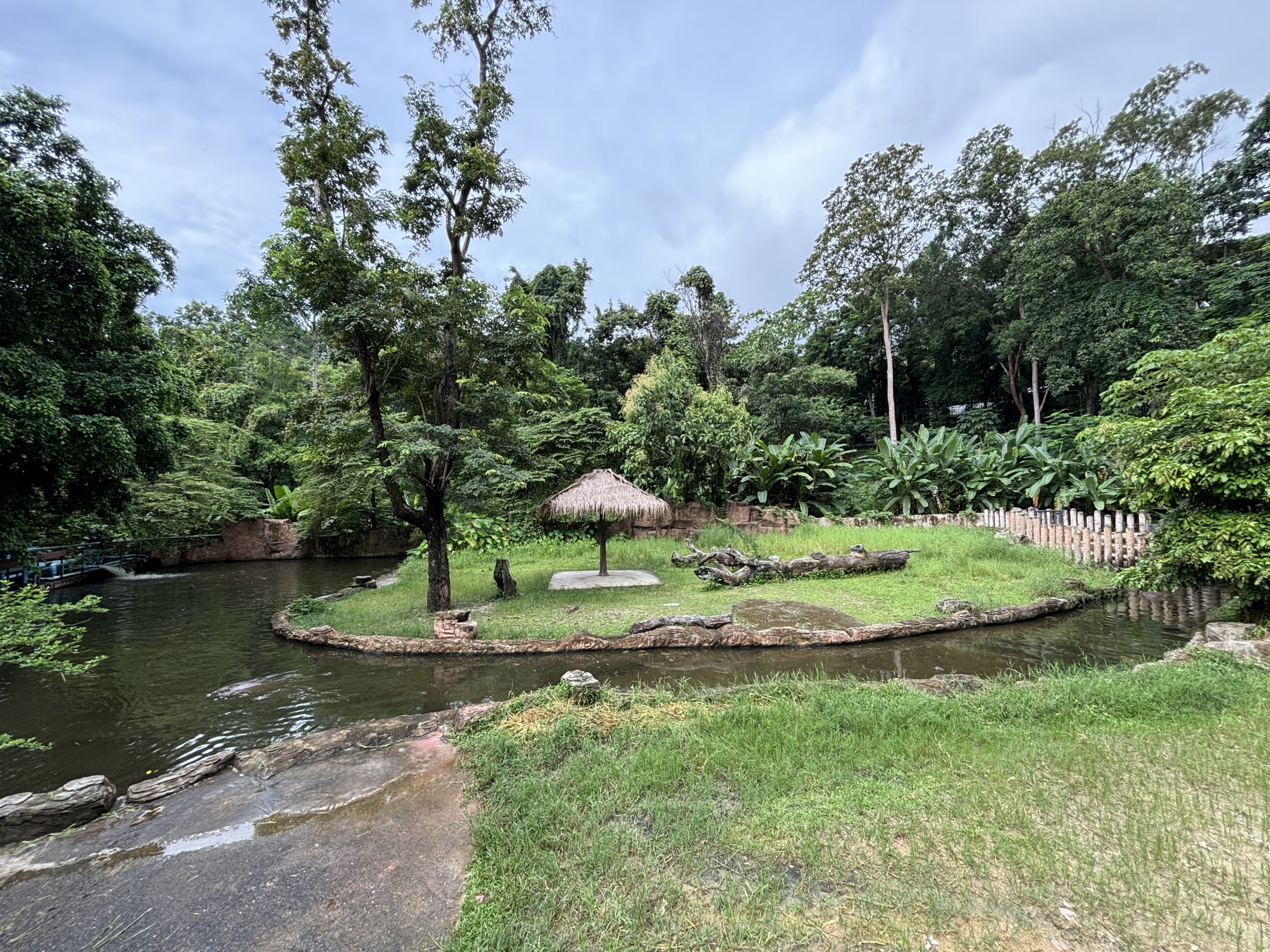 Common Hippo Exhibit - stunning!