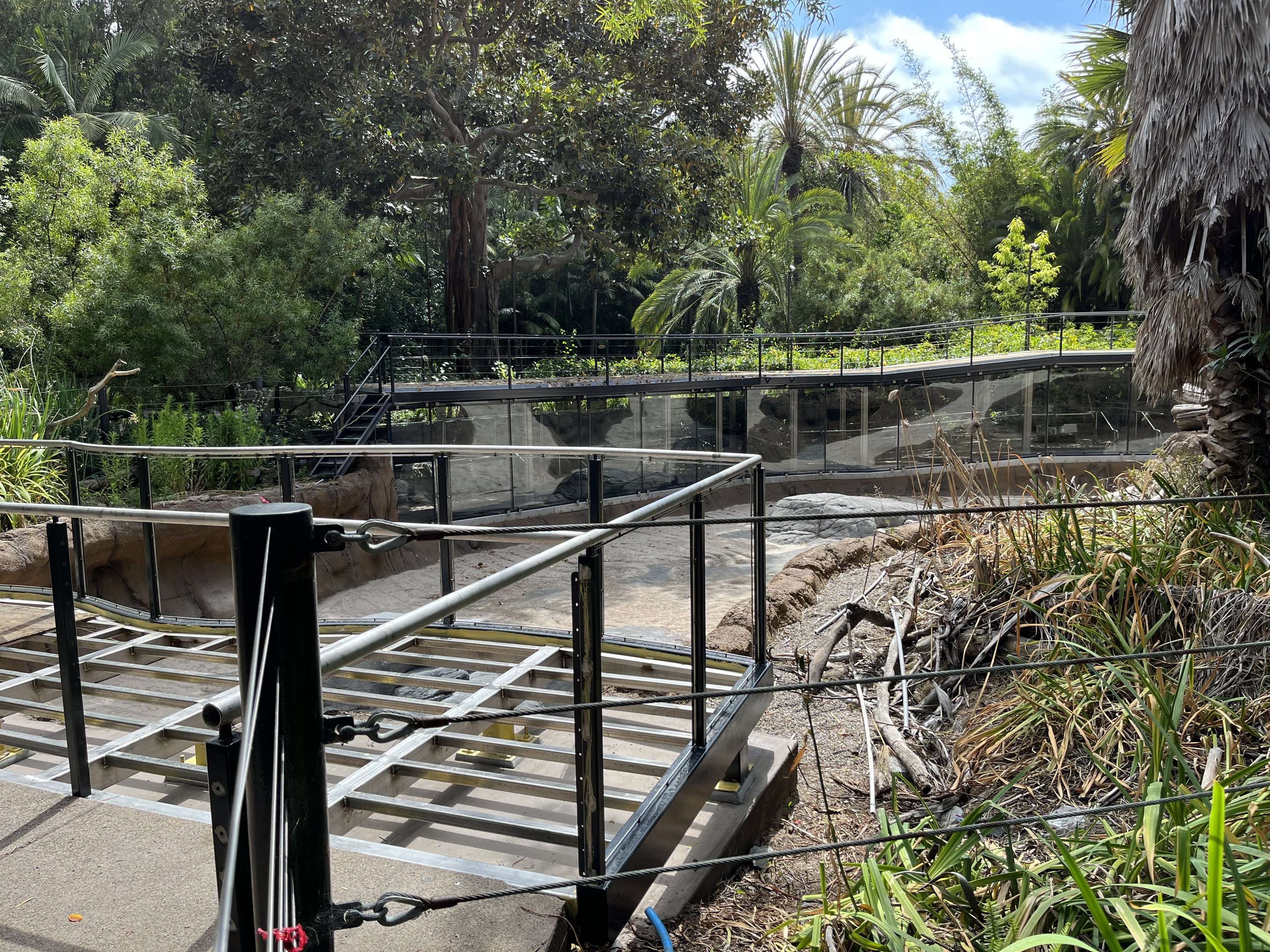 Common Hippo Exhibit - temporarily closed