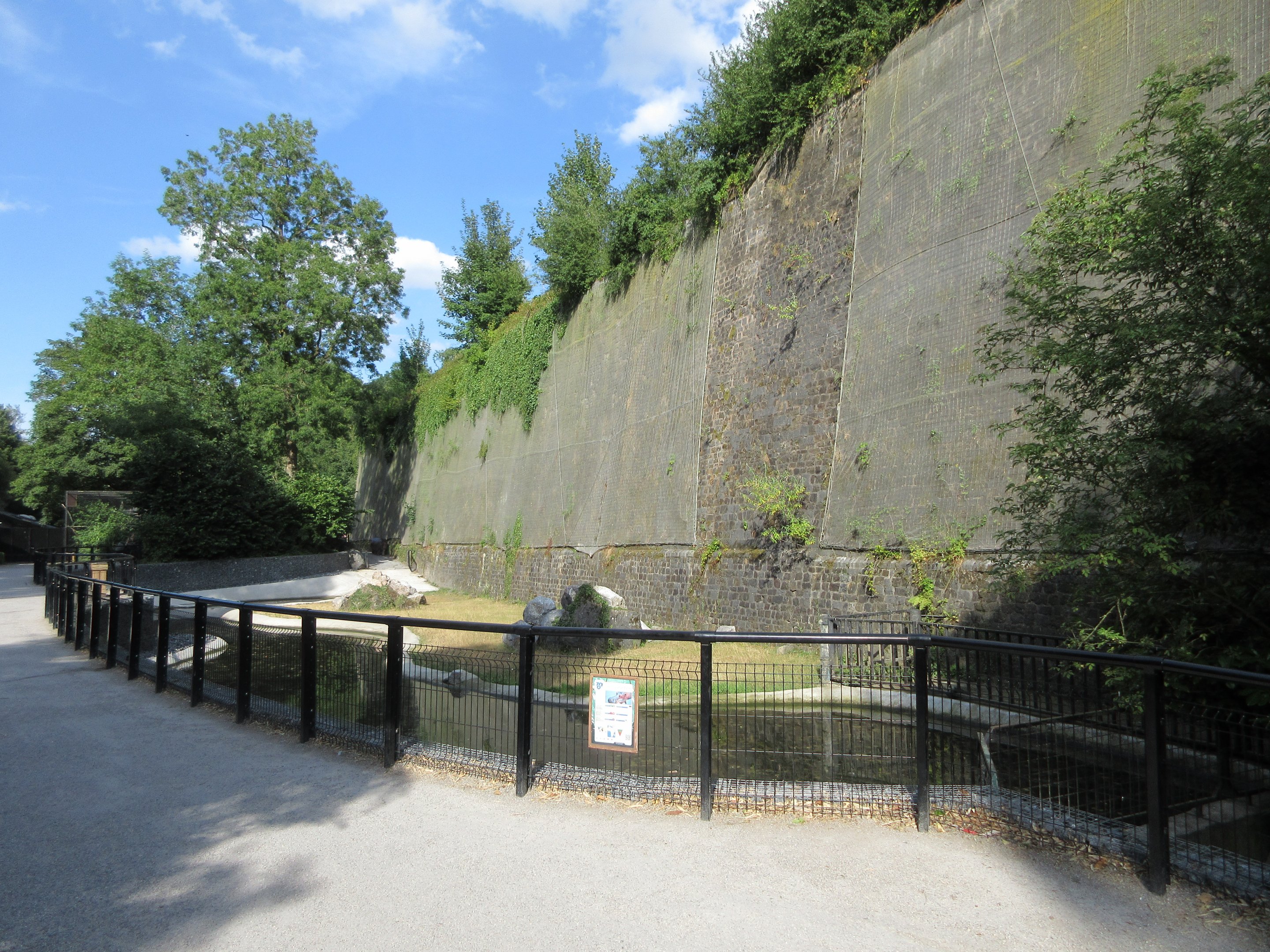 Common Hippo Exhibit