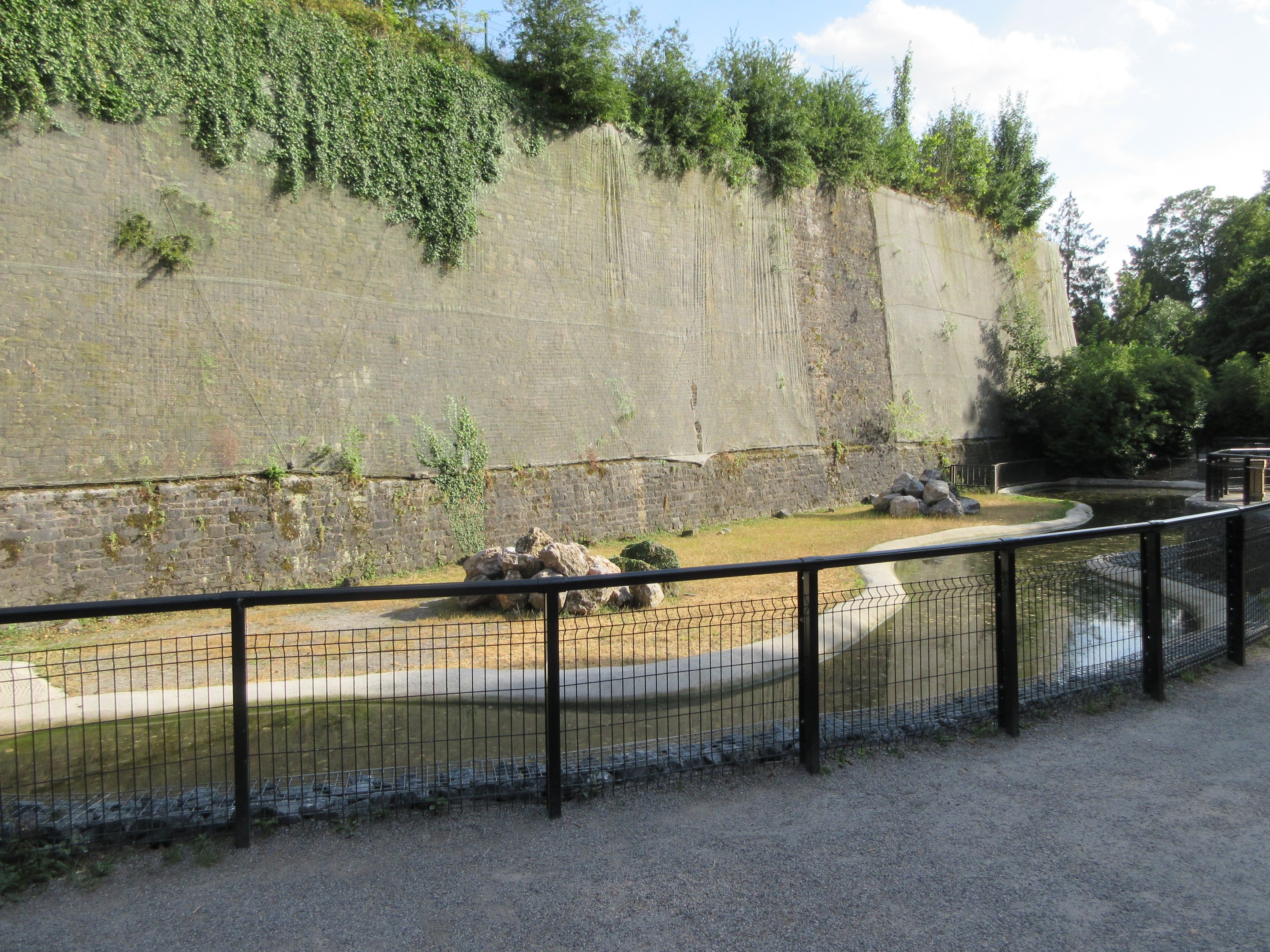 Common Hippo Exhibit