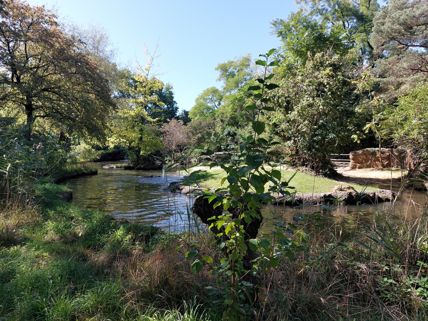 Common hippo exhibit