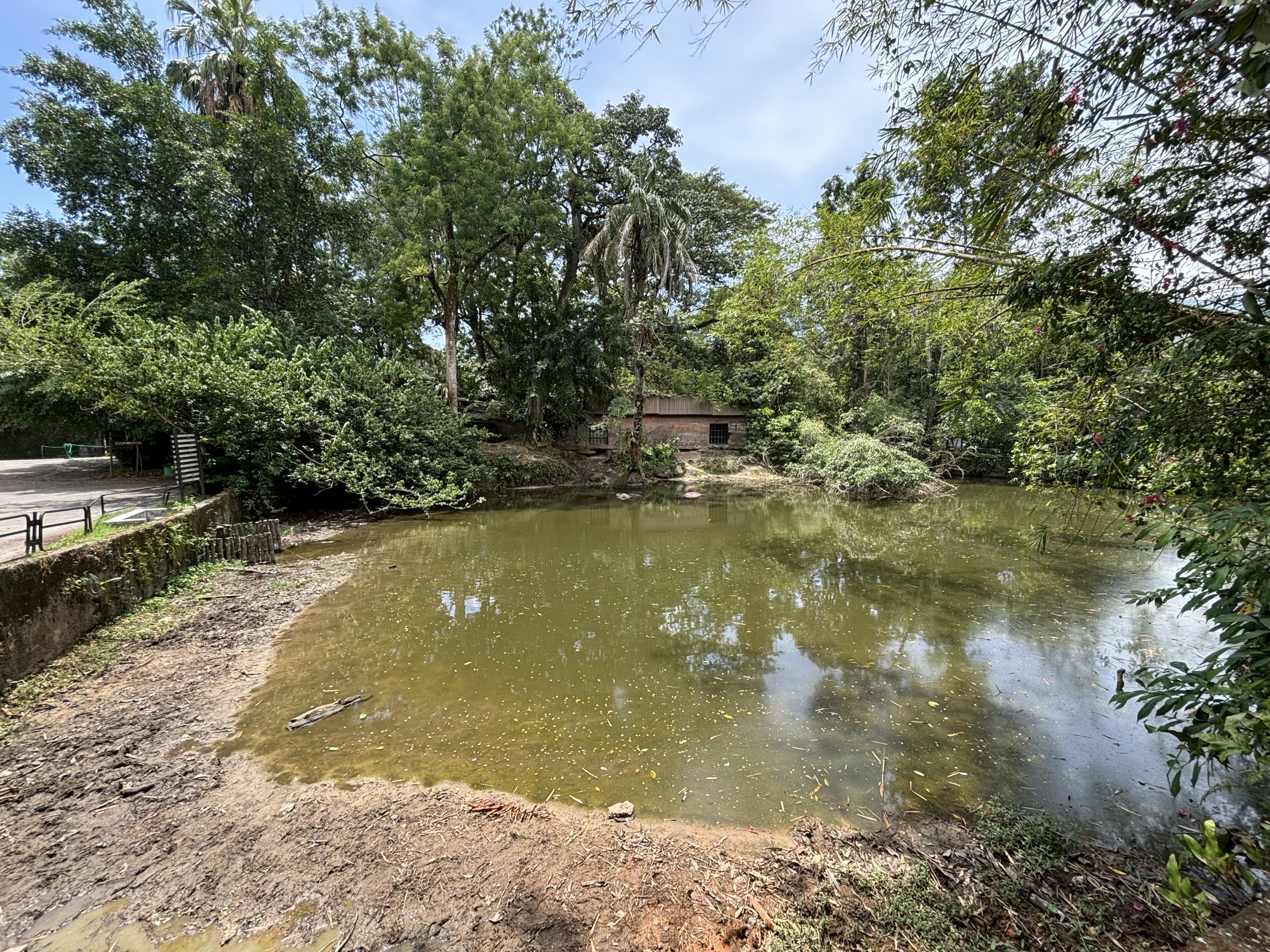 Common Hippo Exhibit