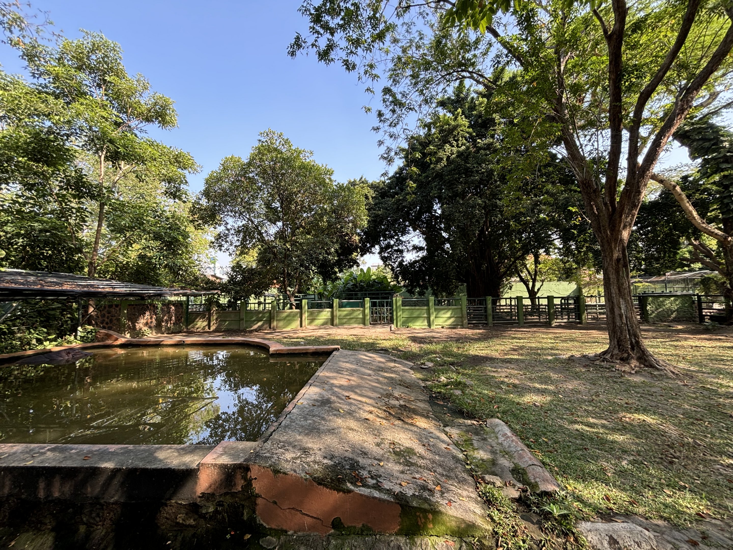 Common Hippo Exhibit
