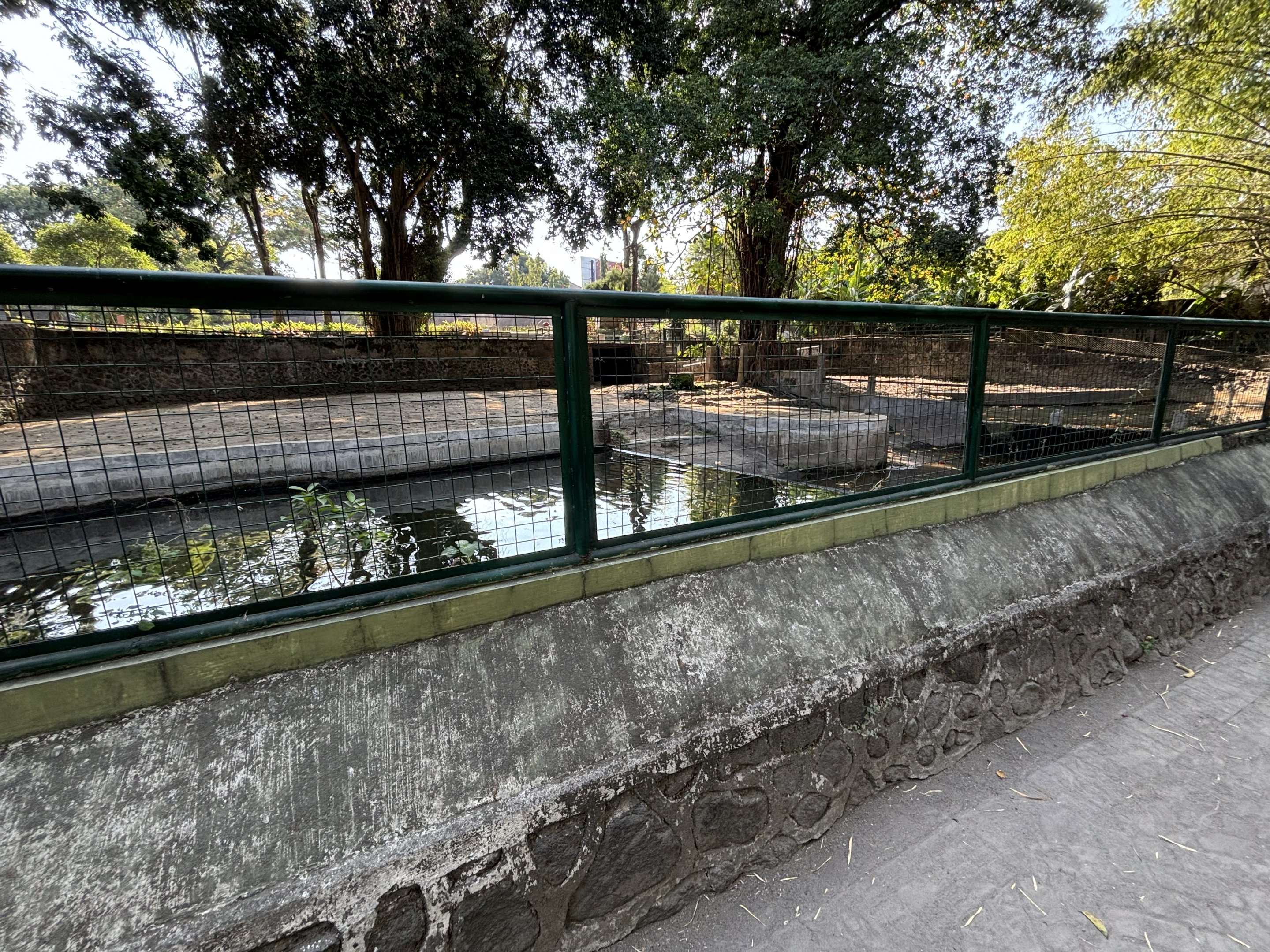 Common Hippo Exhibit