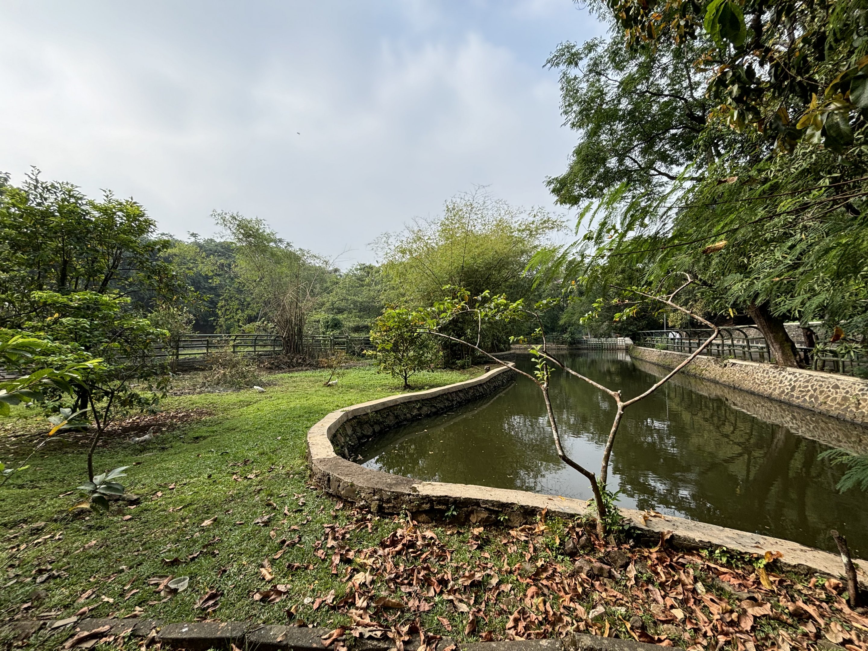 Common Hippo Exhibit