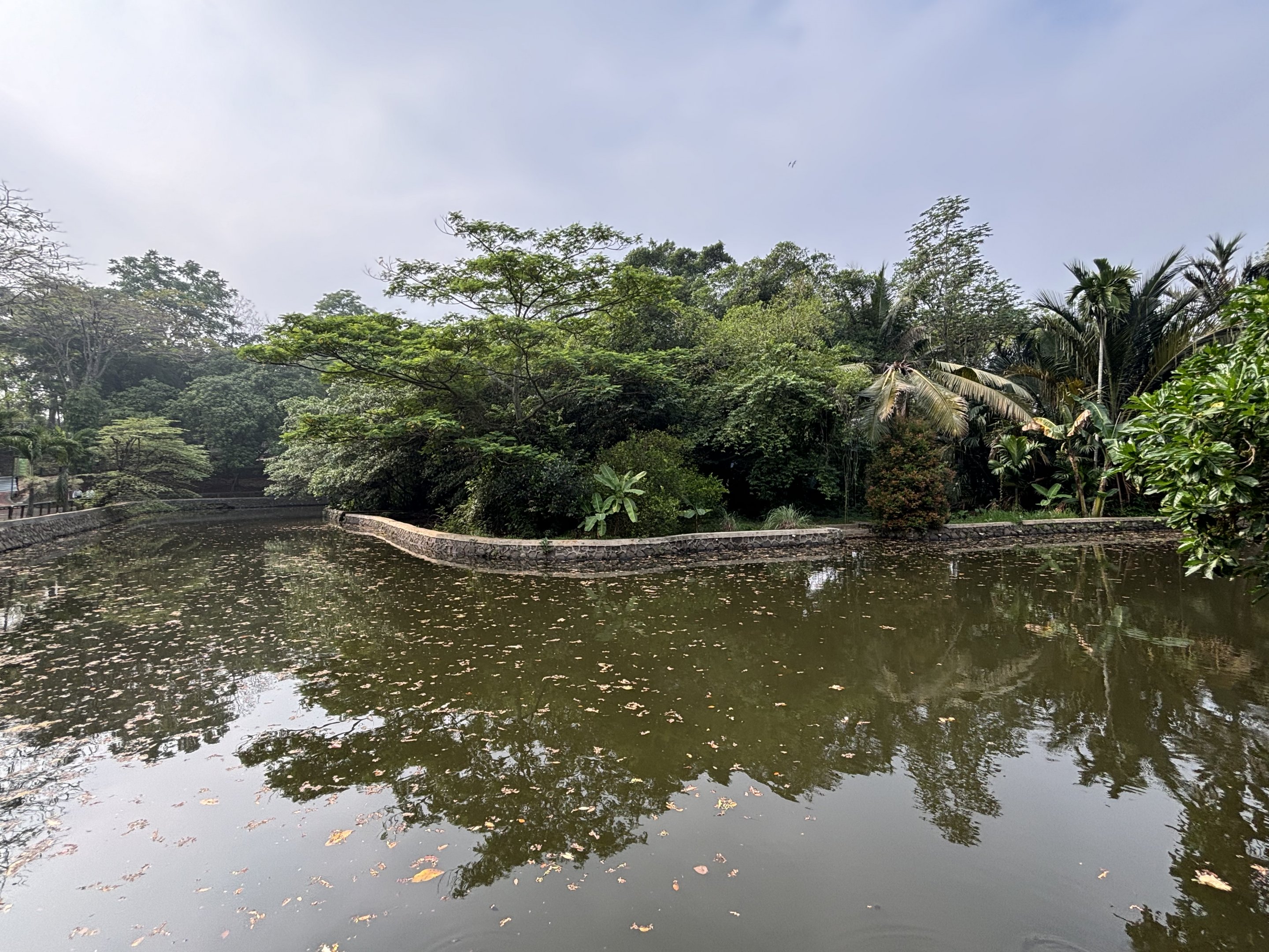 Common Hippo Exhibit