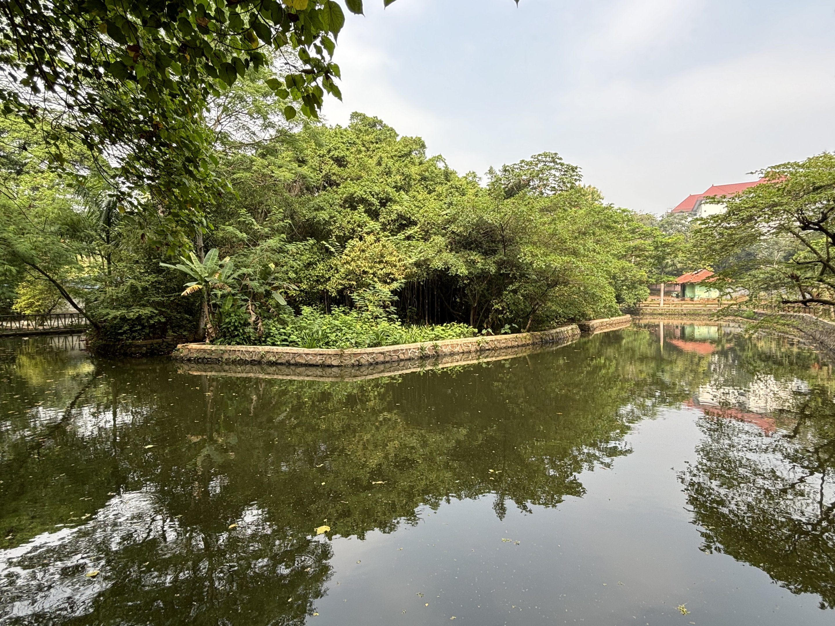 Common Hippo Exhibit