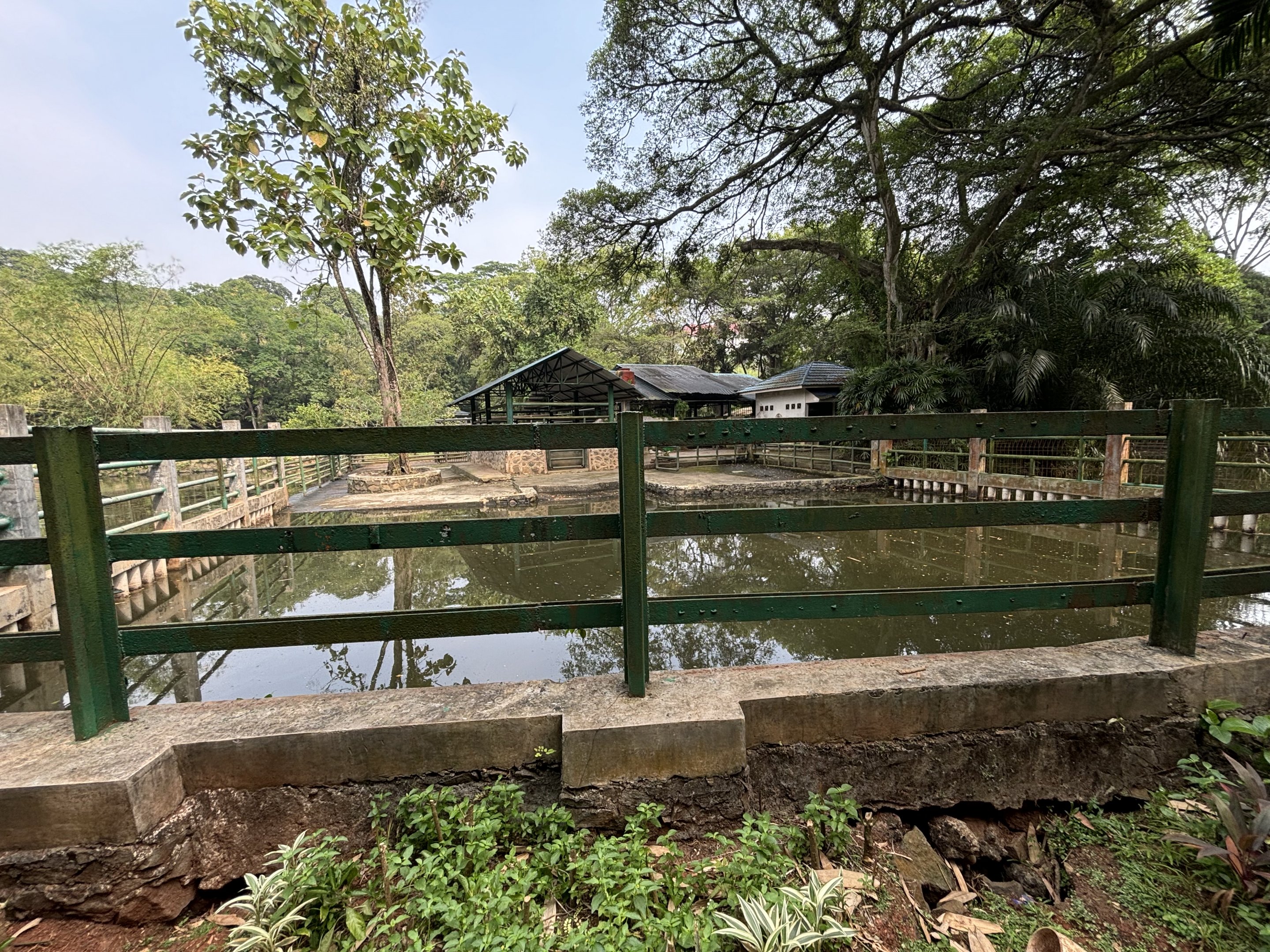 Common Hippo Exhibit