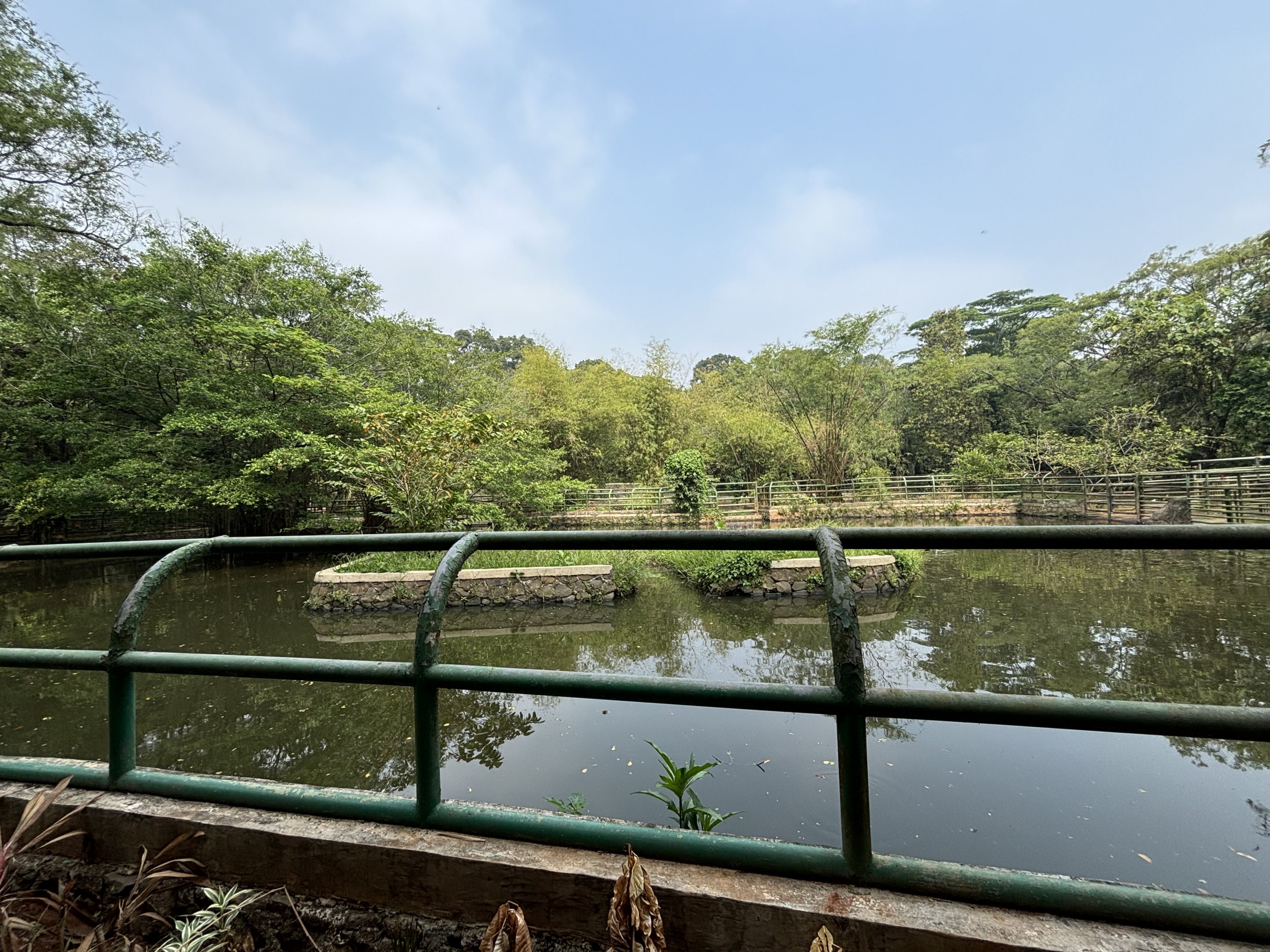Common Hippo Exhibit
