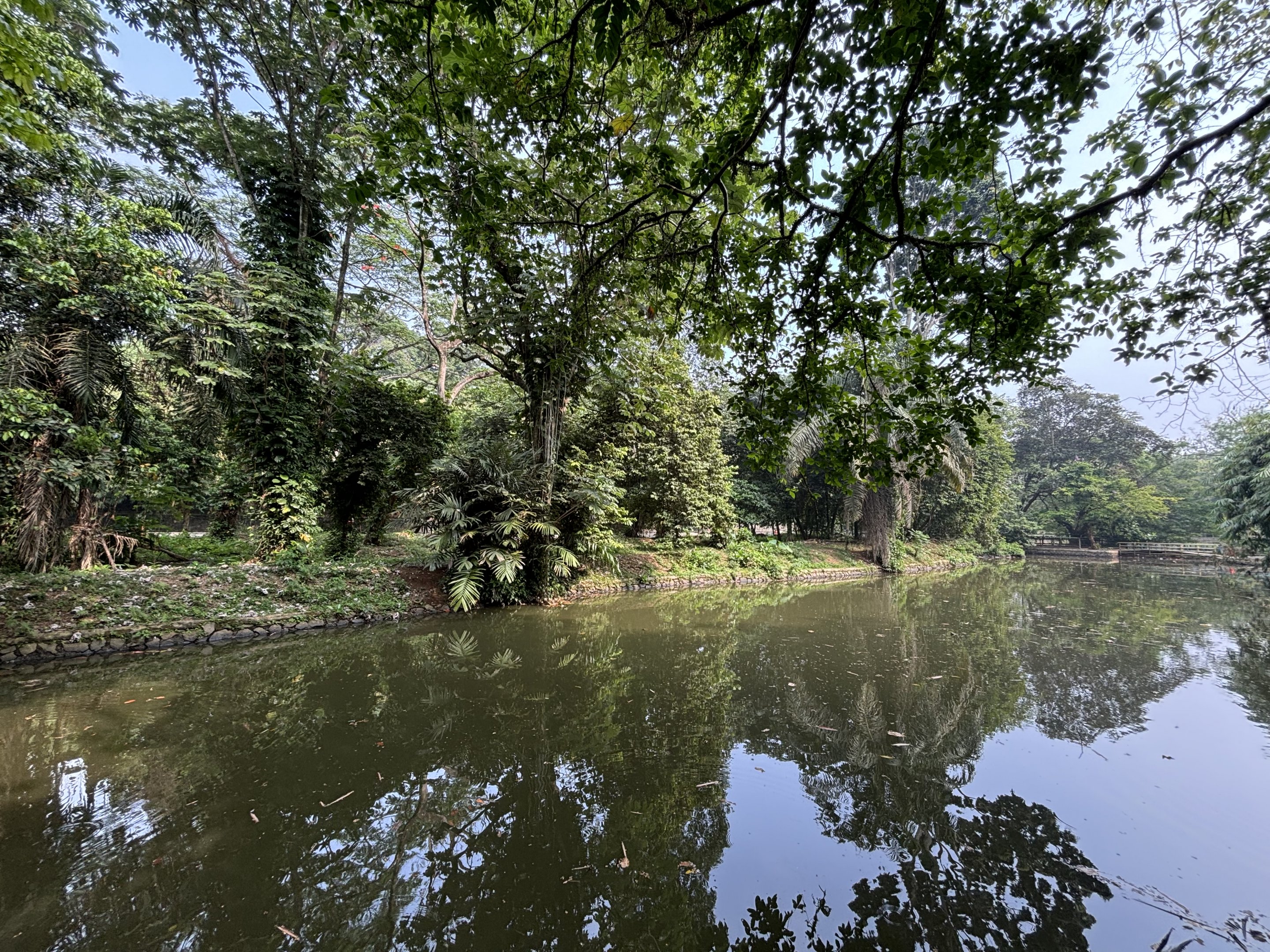 Common Hippo Exhibit