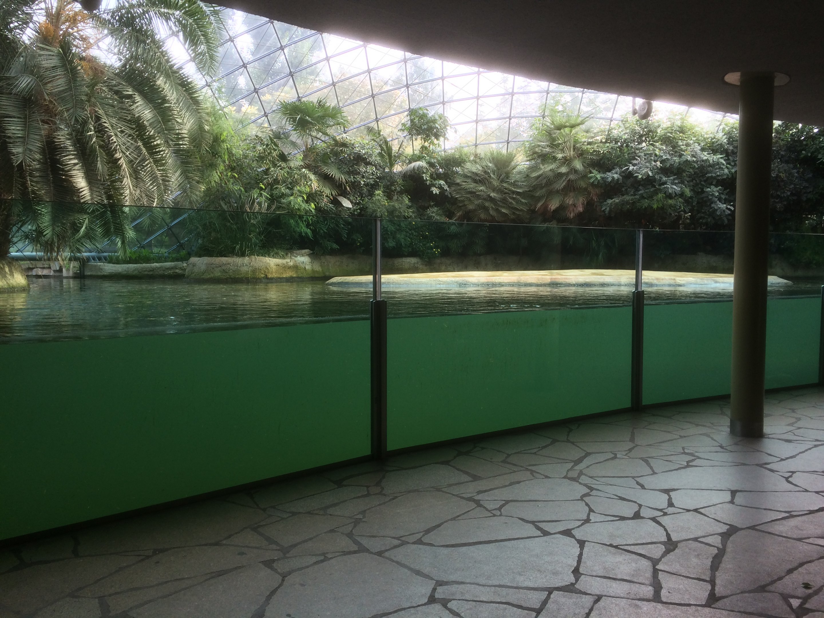 Common hippo indoor area