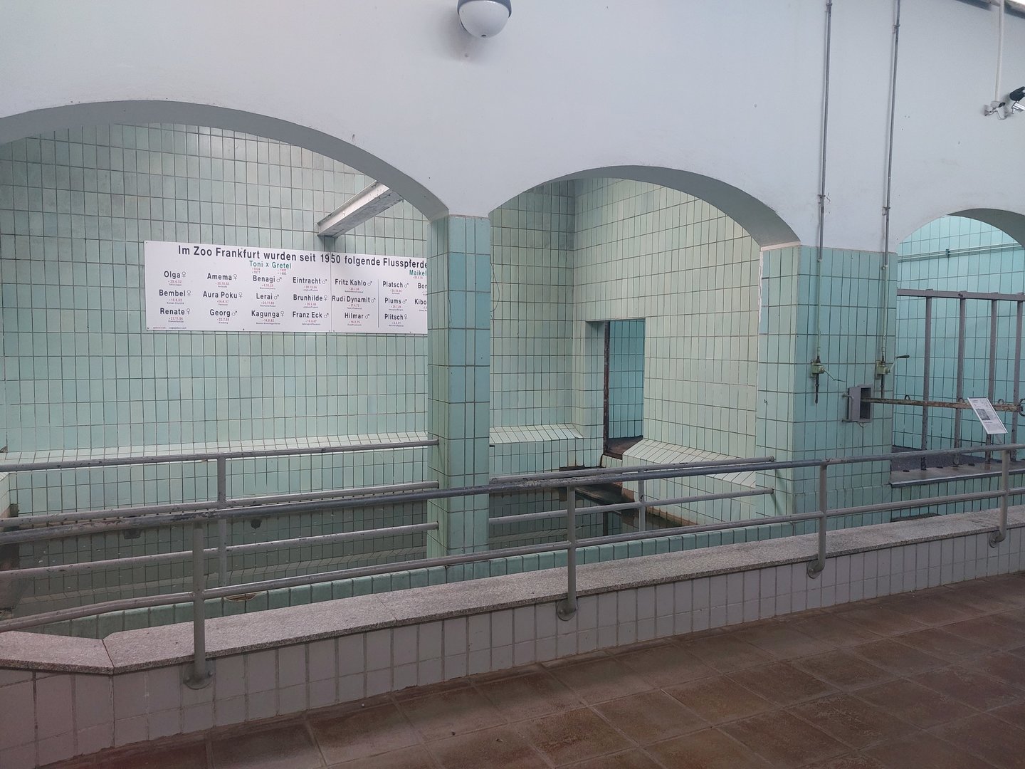 Common hippo indoor enclosure