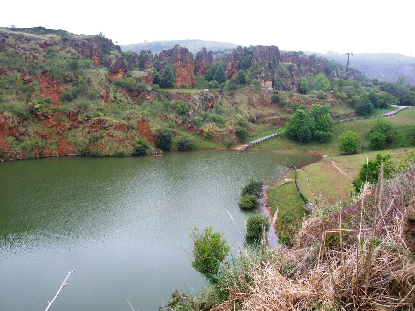 Common Hippo Lake at Cabarceno, 11/06/15
