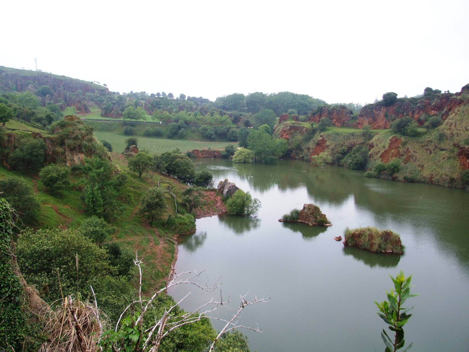 Common Hippo Lake at Cabarceno, 11/06/15