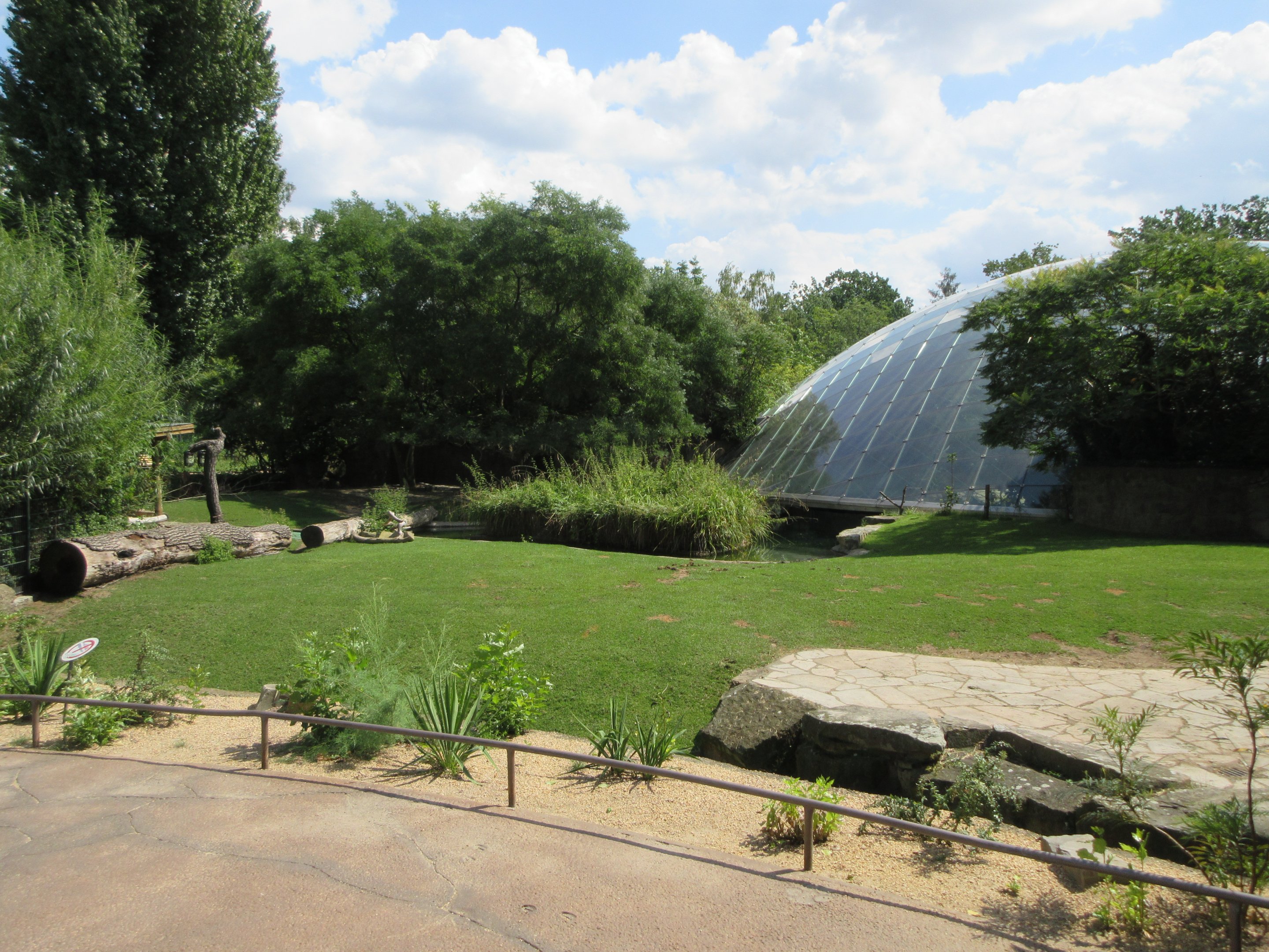 Common Hippo/Nyala Exhibit