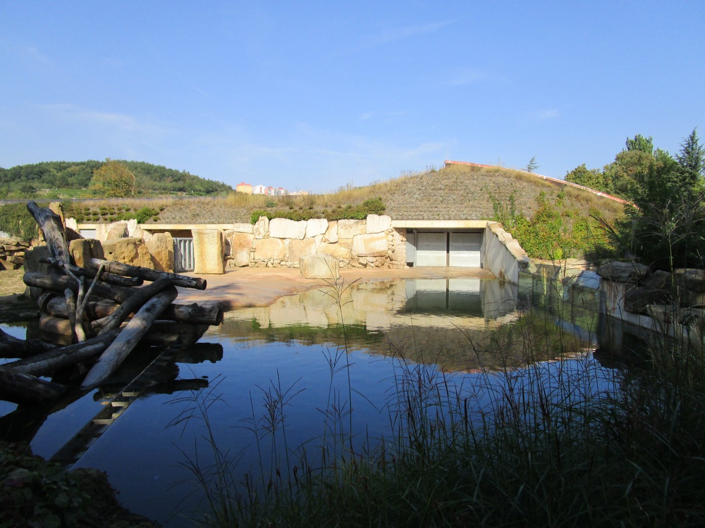 Common Hippo Outdoors