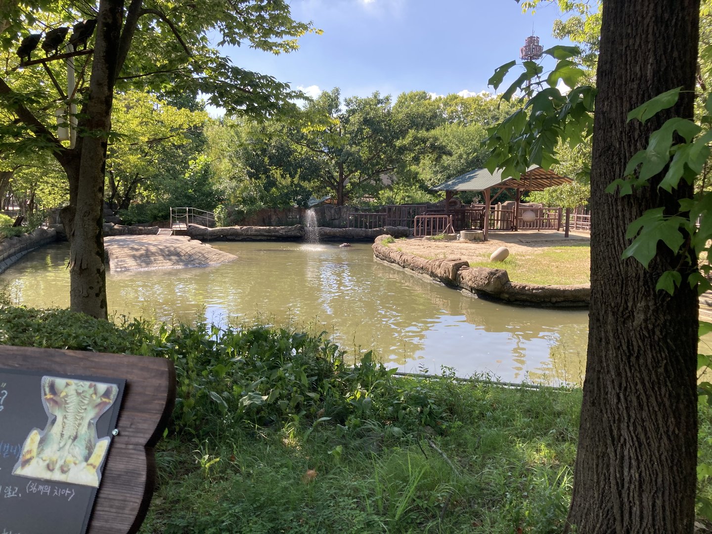 Common hippo pool and first paddock