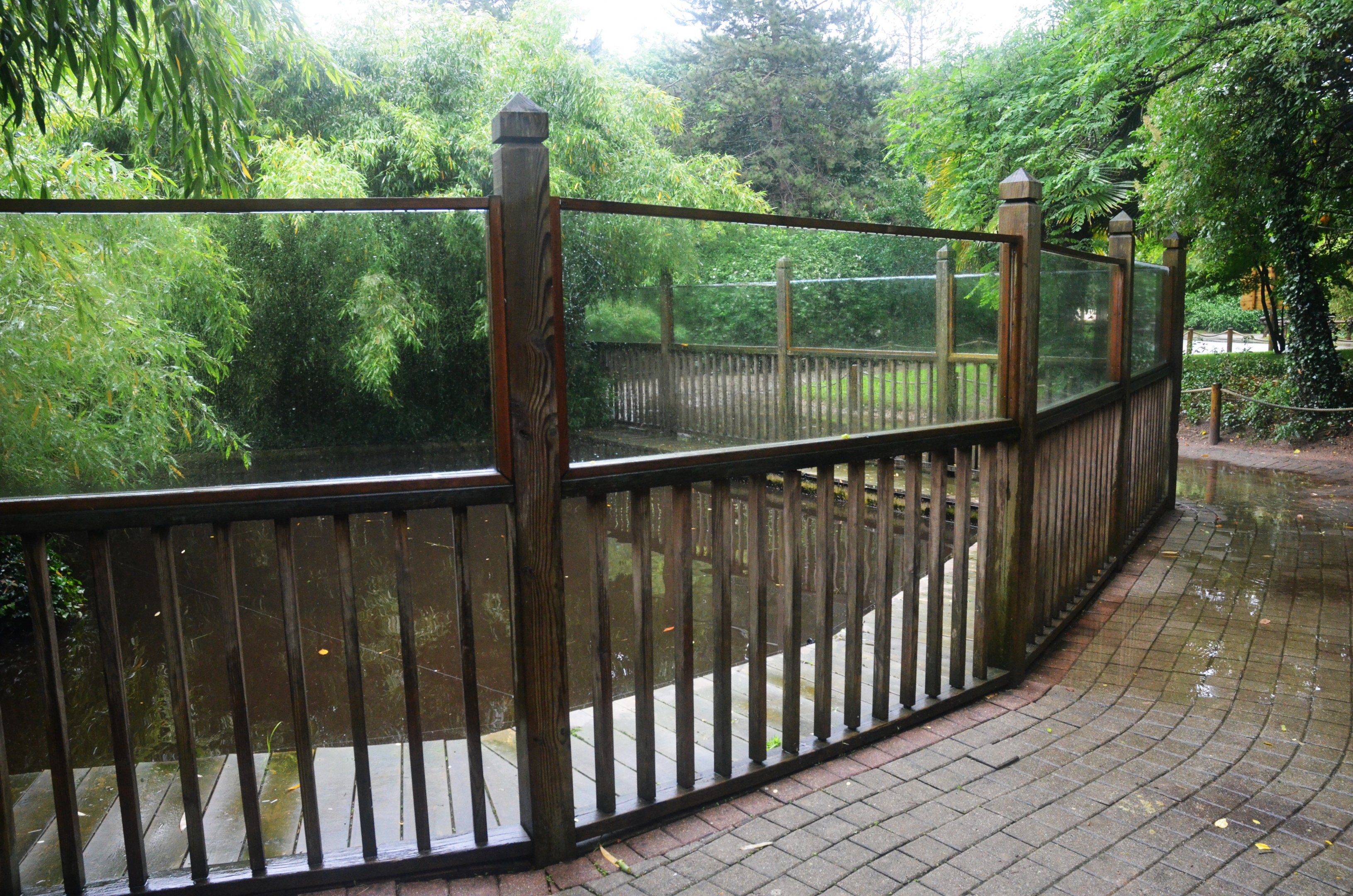Common Hippo Pool at La Flèche, 11/06/18