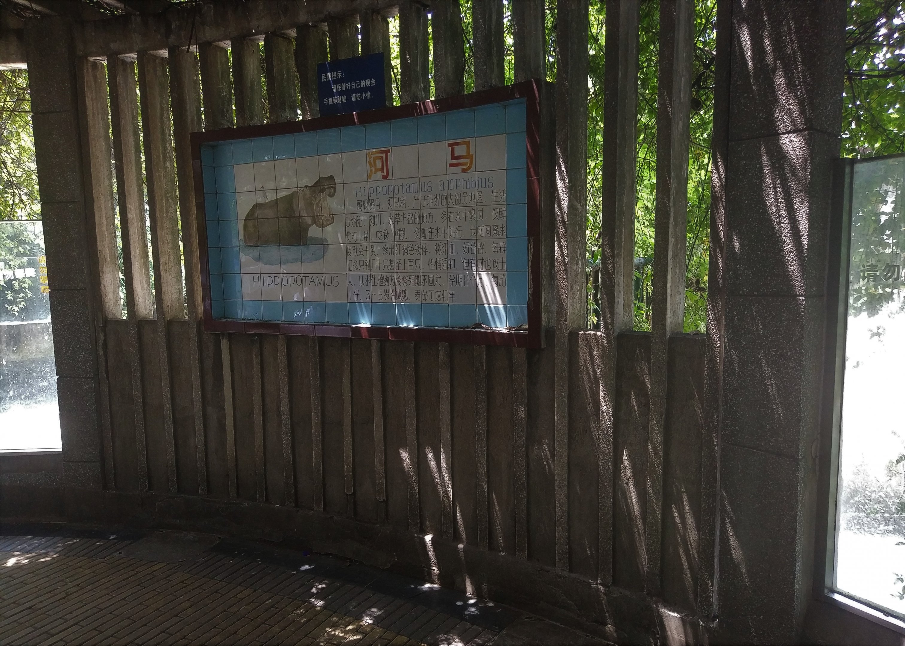 Common Hippo Signage