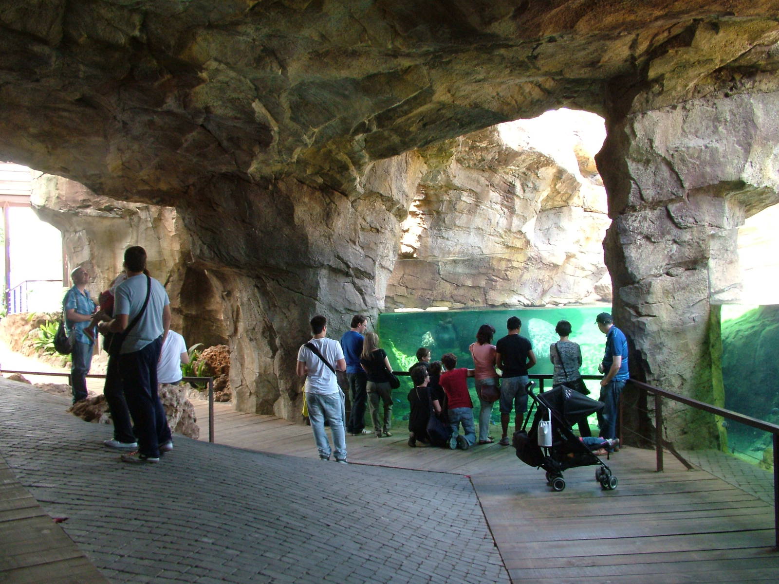 Common Hippo Underwater Viewing at Bioparc Valencia, 28/05/11