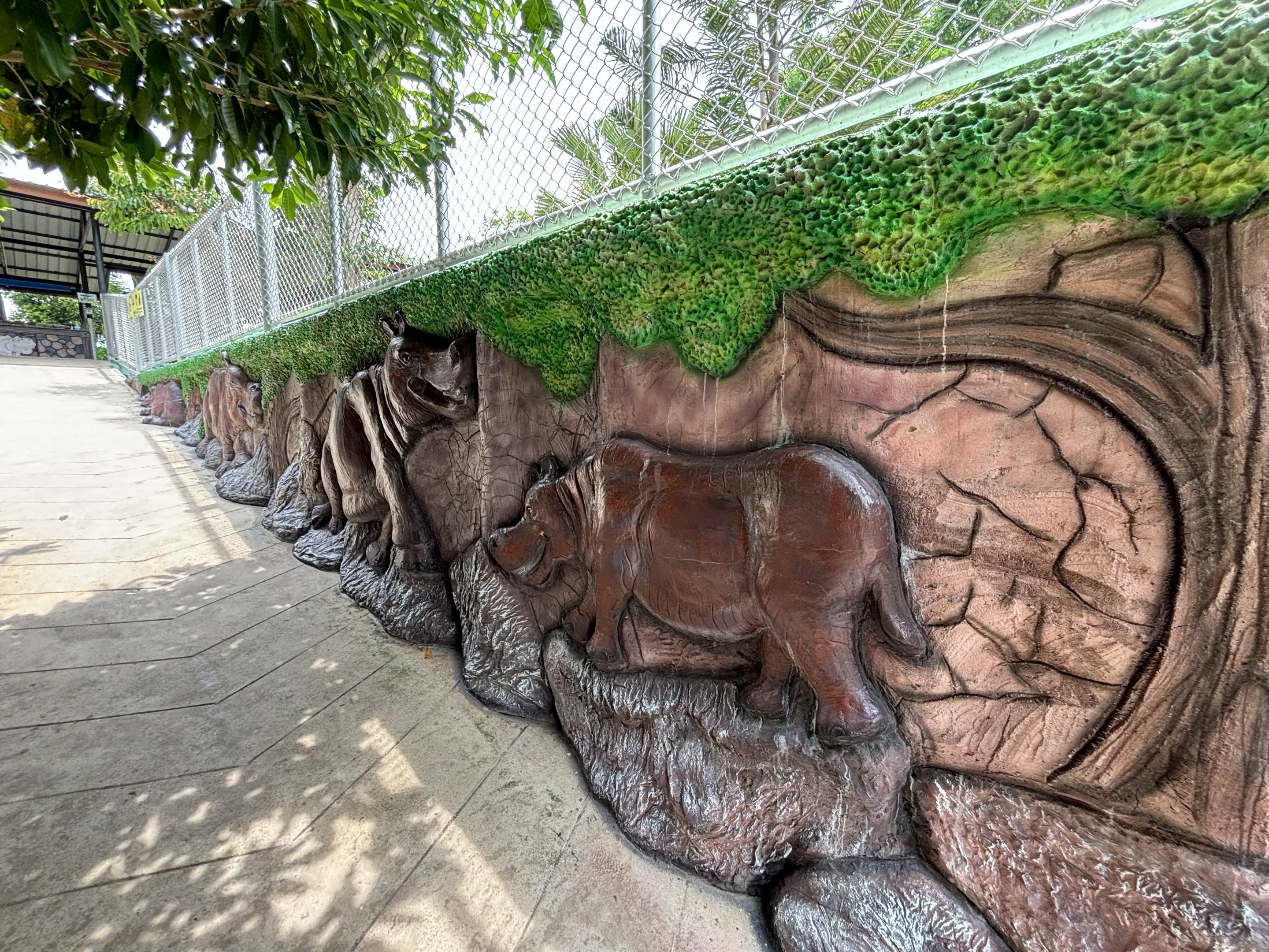 Common Hippo Walkway - Lion Park