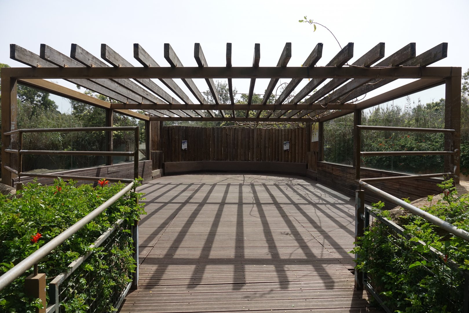 Common Hippopotamus and Nile Crocodile Viewing Area