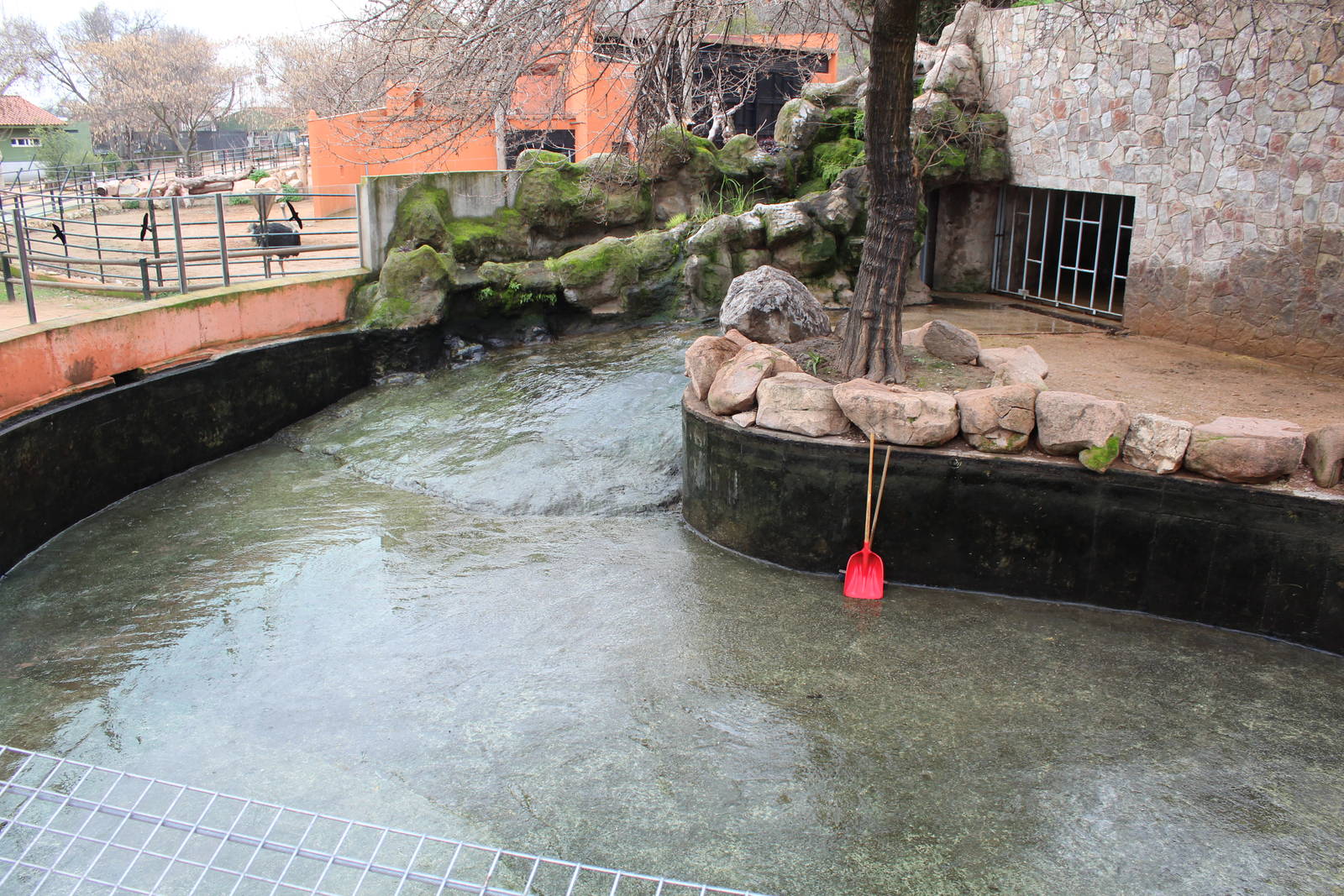 Common Hippopotamus Enclosure - Jan 2014