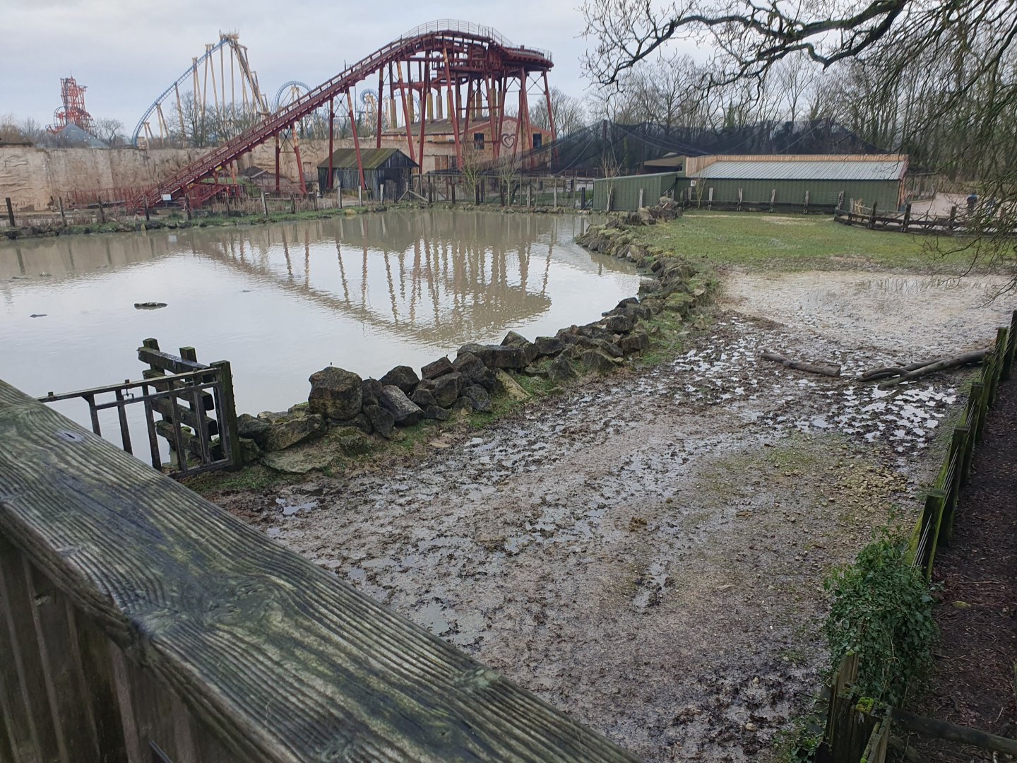 Common Hippopotamus enclosure