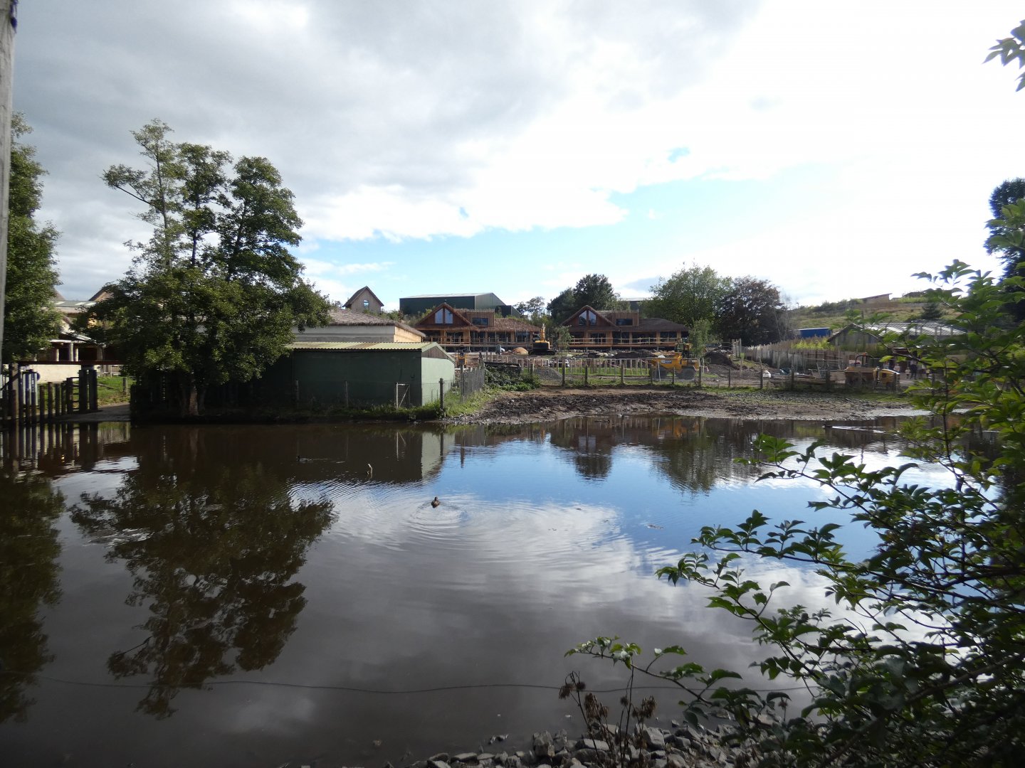 Common hippopotamus enclosure