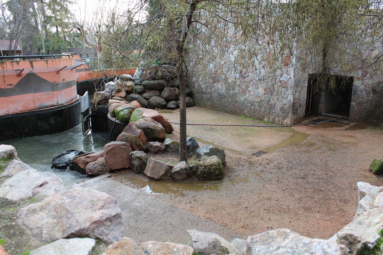 Common Hippopotamus Enclosures - Jan 2014