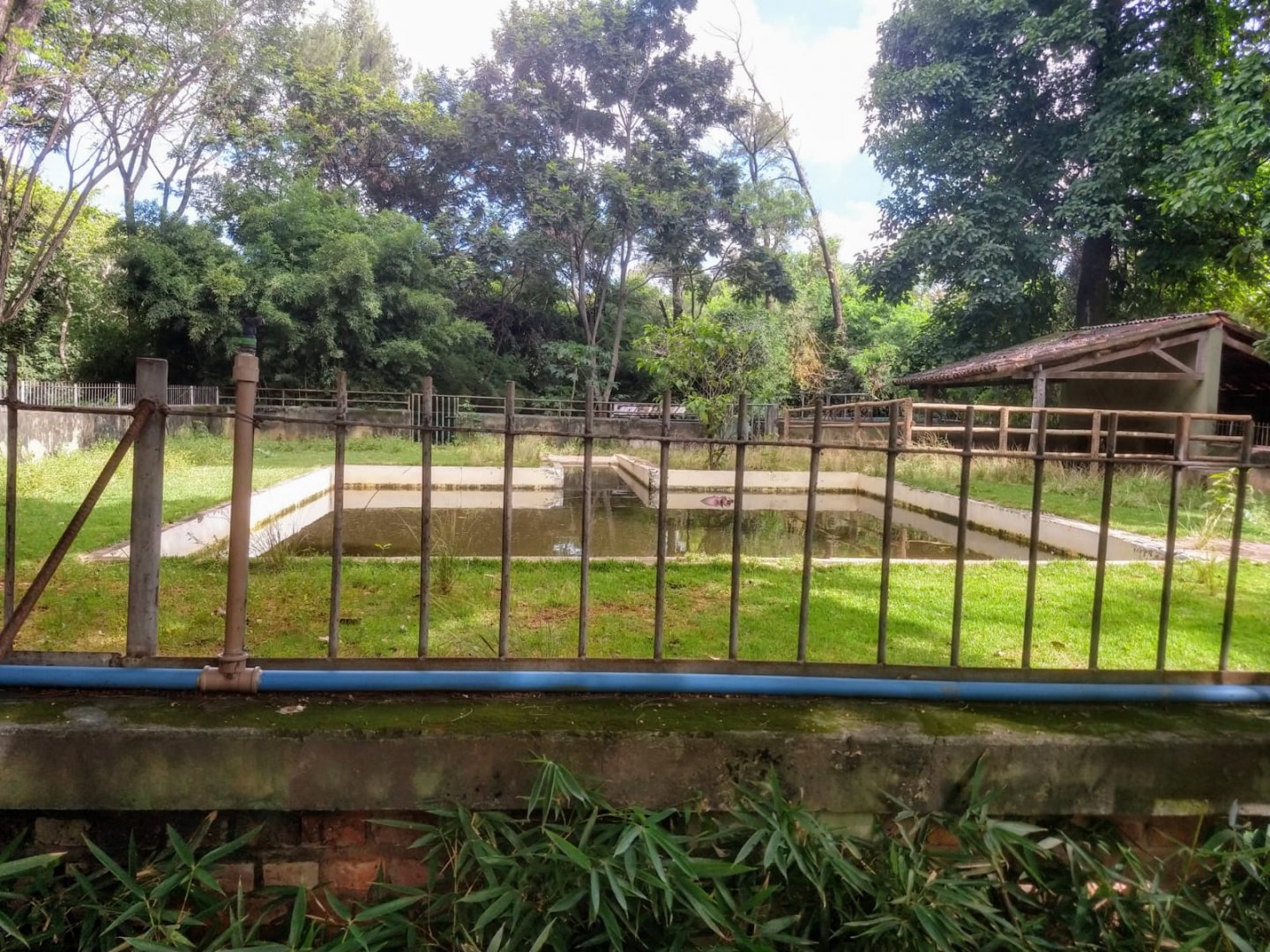 Common hippopotamus exhibit 1 - Belo Horizonte zoo