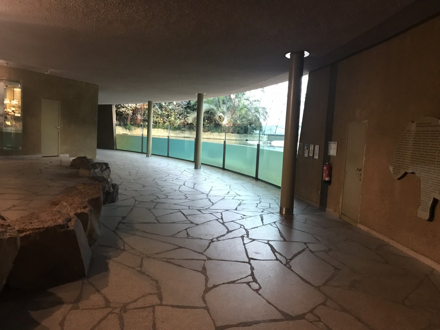 Common hippopotamus exhibit 290118