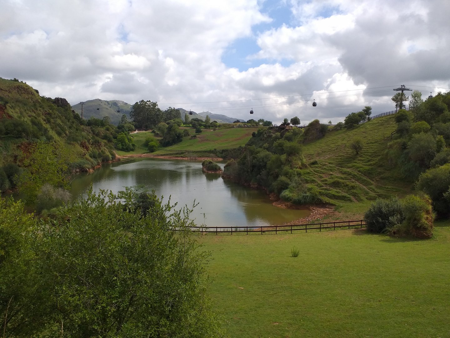 Common hippopotamus exhibit-Cabarceno (2019)