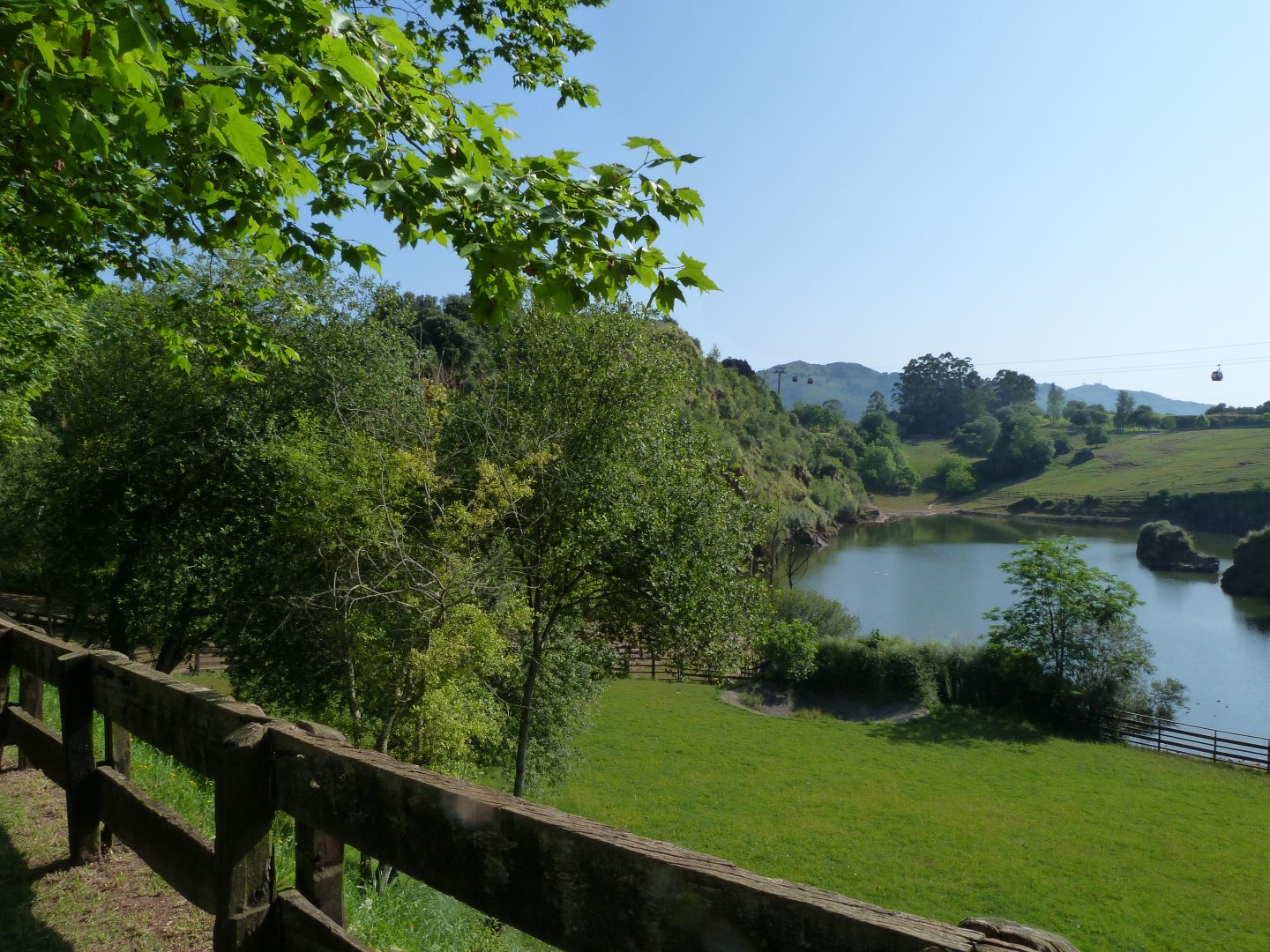 Common hippopotamus exhibit -Parque de la Naturaleza de Cabárceno (2025)