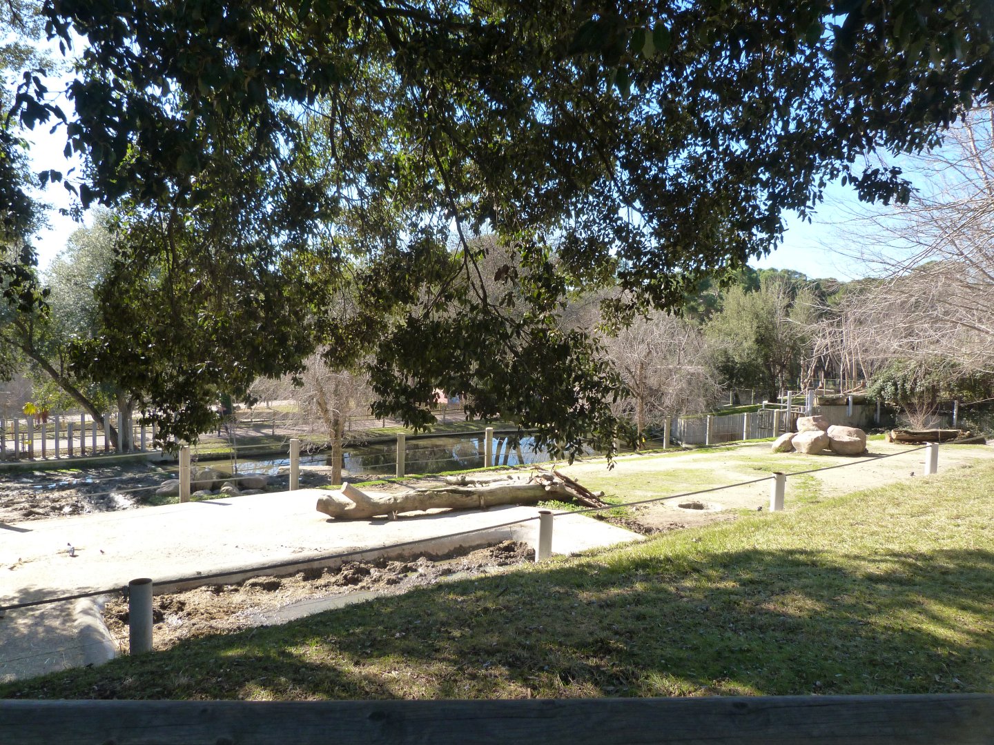 Common hippopotamus exhibit -Zoo Aquarium de Madrid (2025)