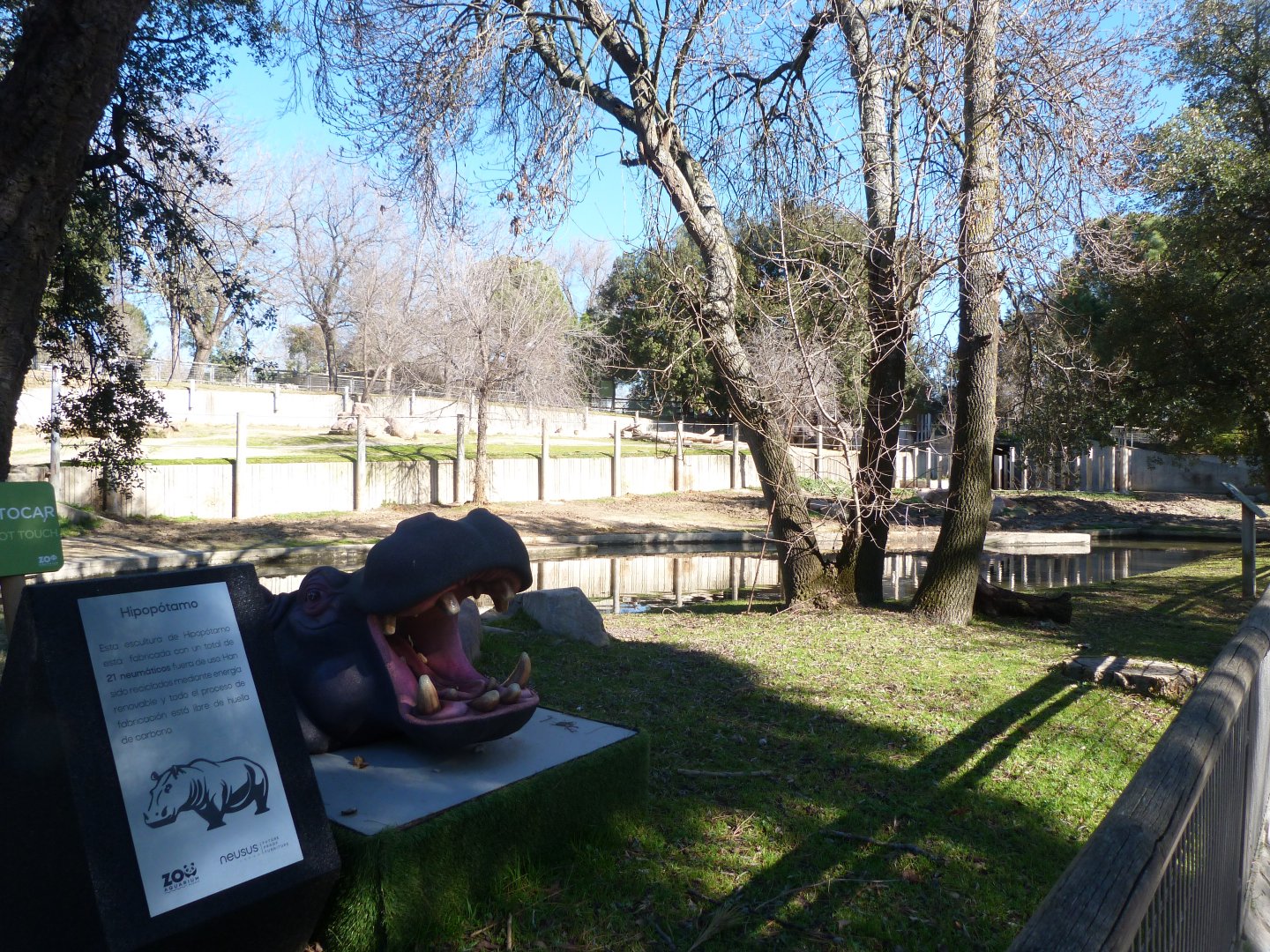 Common hippopotamus exhibit -Zoo Aquarium de Madrid (2025)