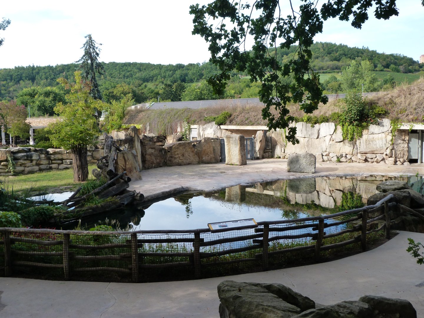 Common hippopotamus exhibit -Zoo Praha (2025)