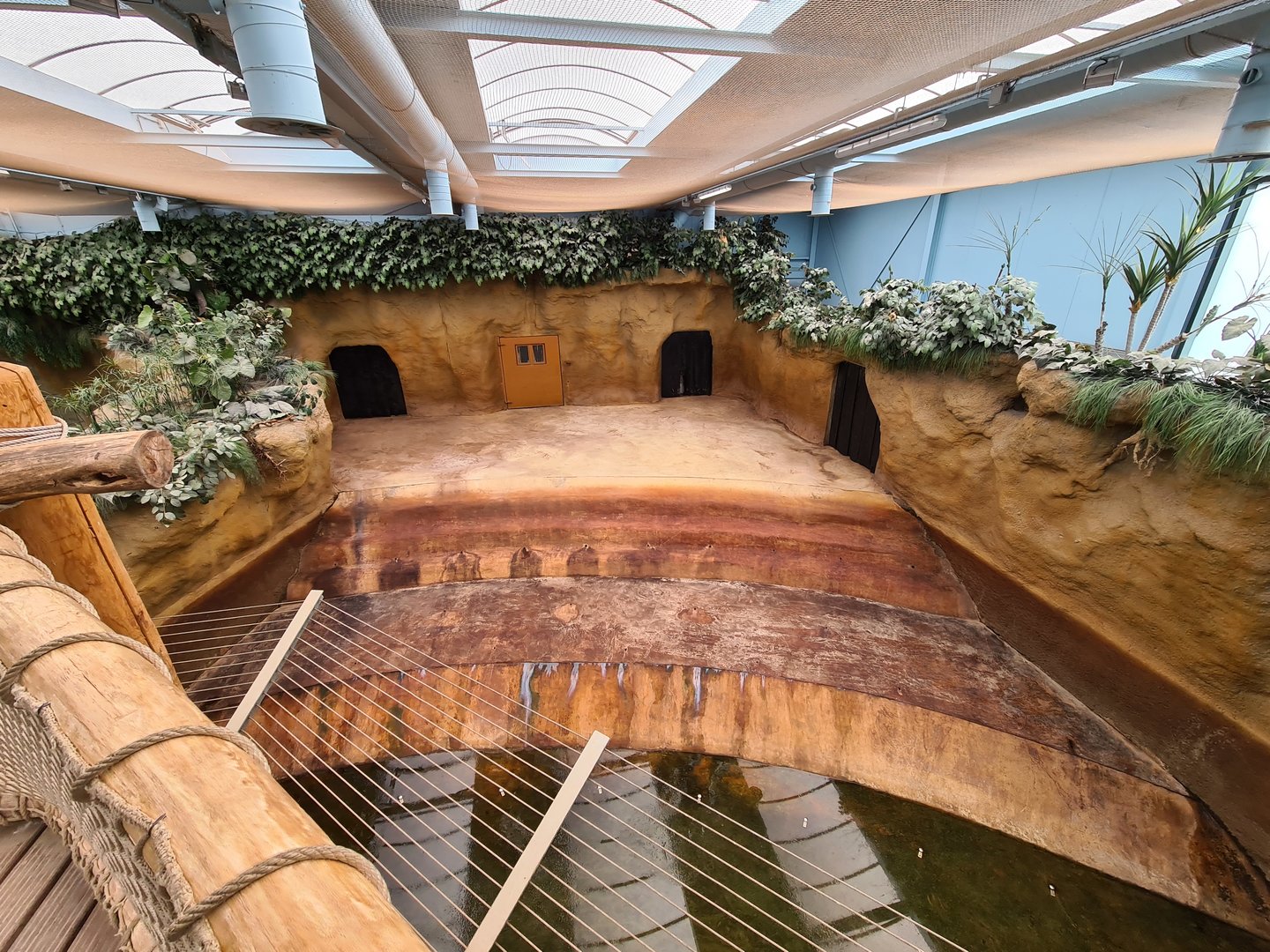 Common Hippopotamus indoor