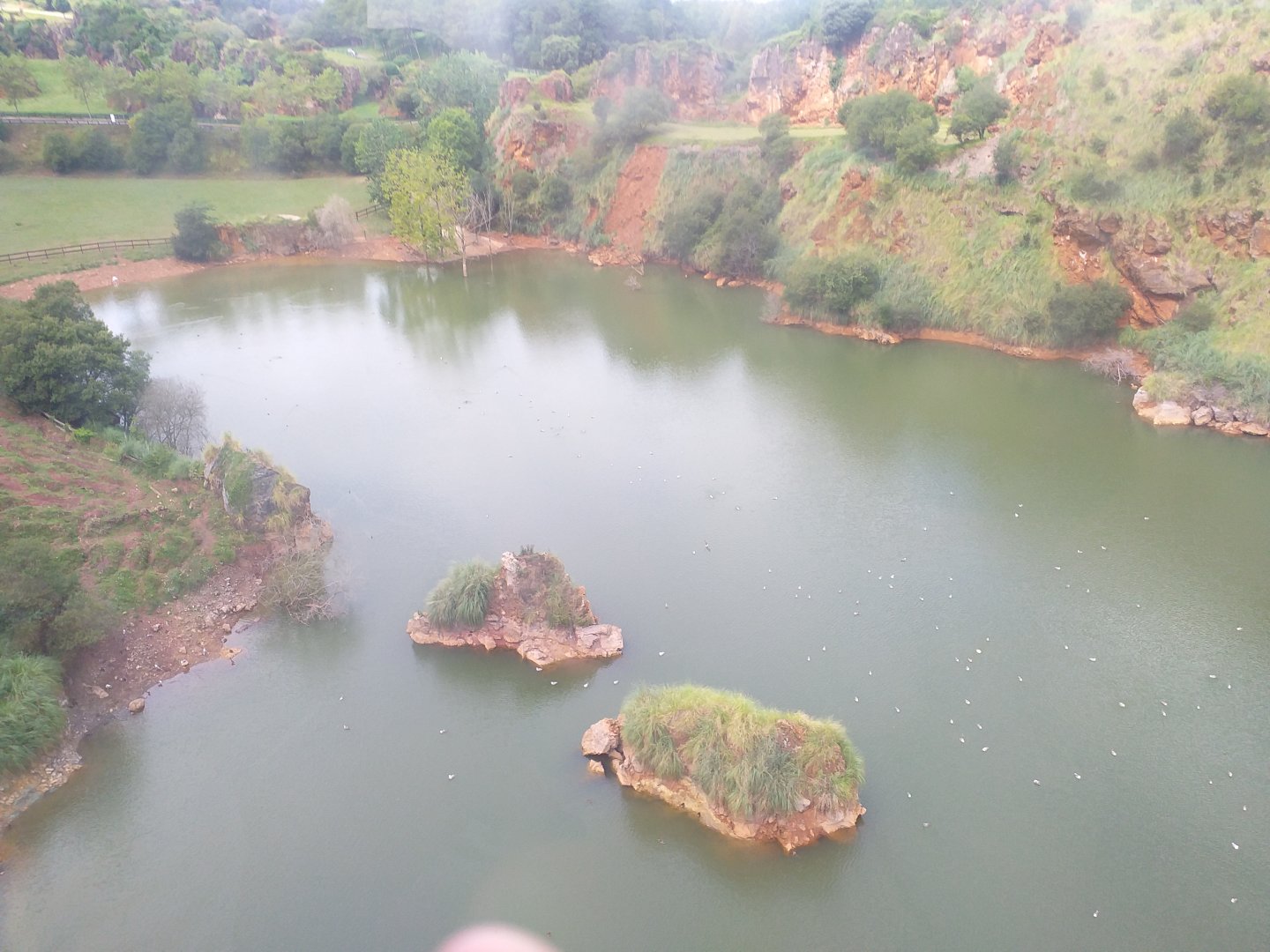 Common hippopotamus lake from cable car-Cabarceno (2019)
