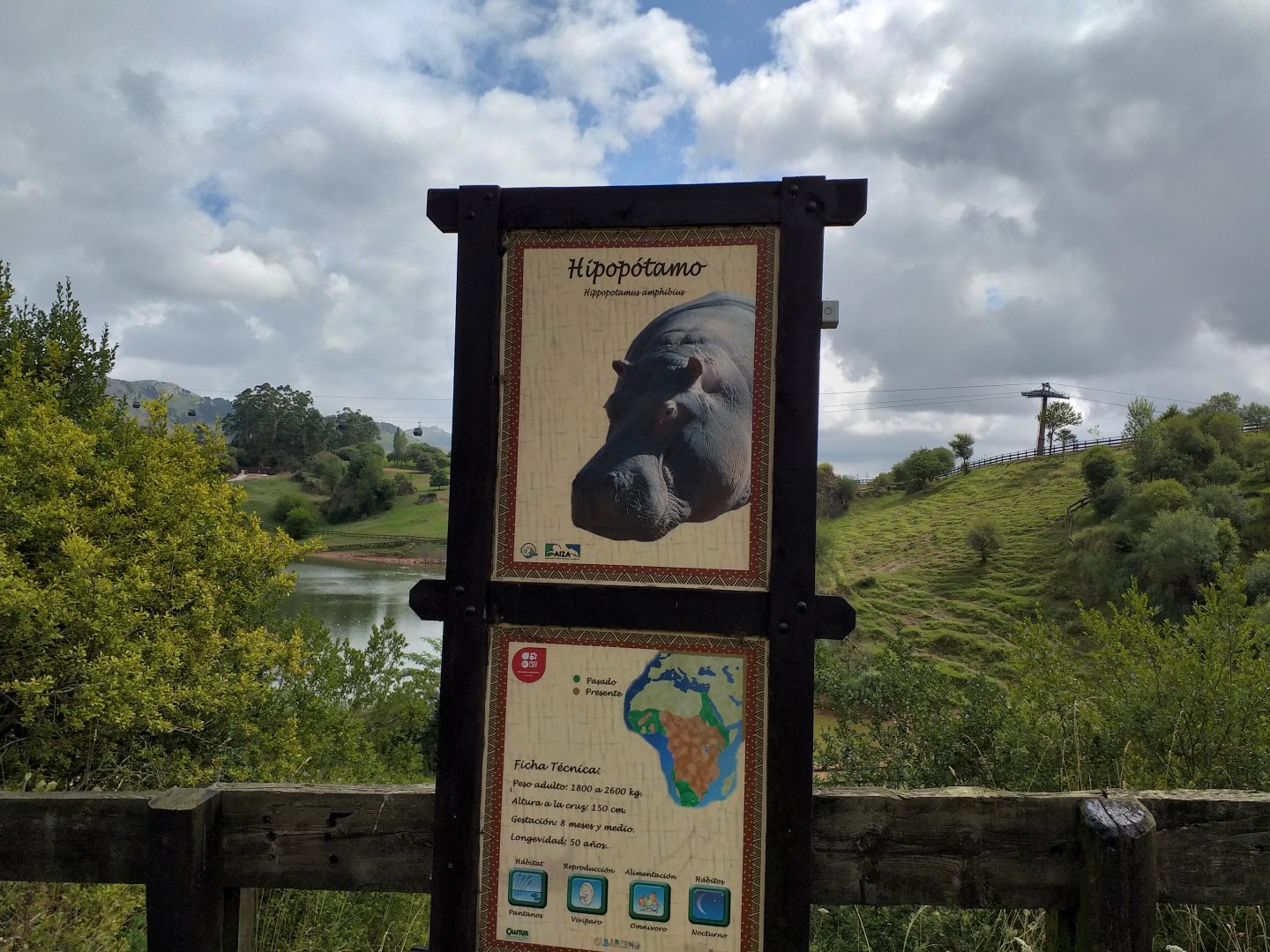 Common hippopotamus sign-Cabarceno (2019)